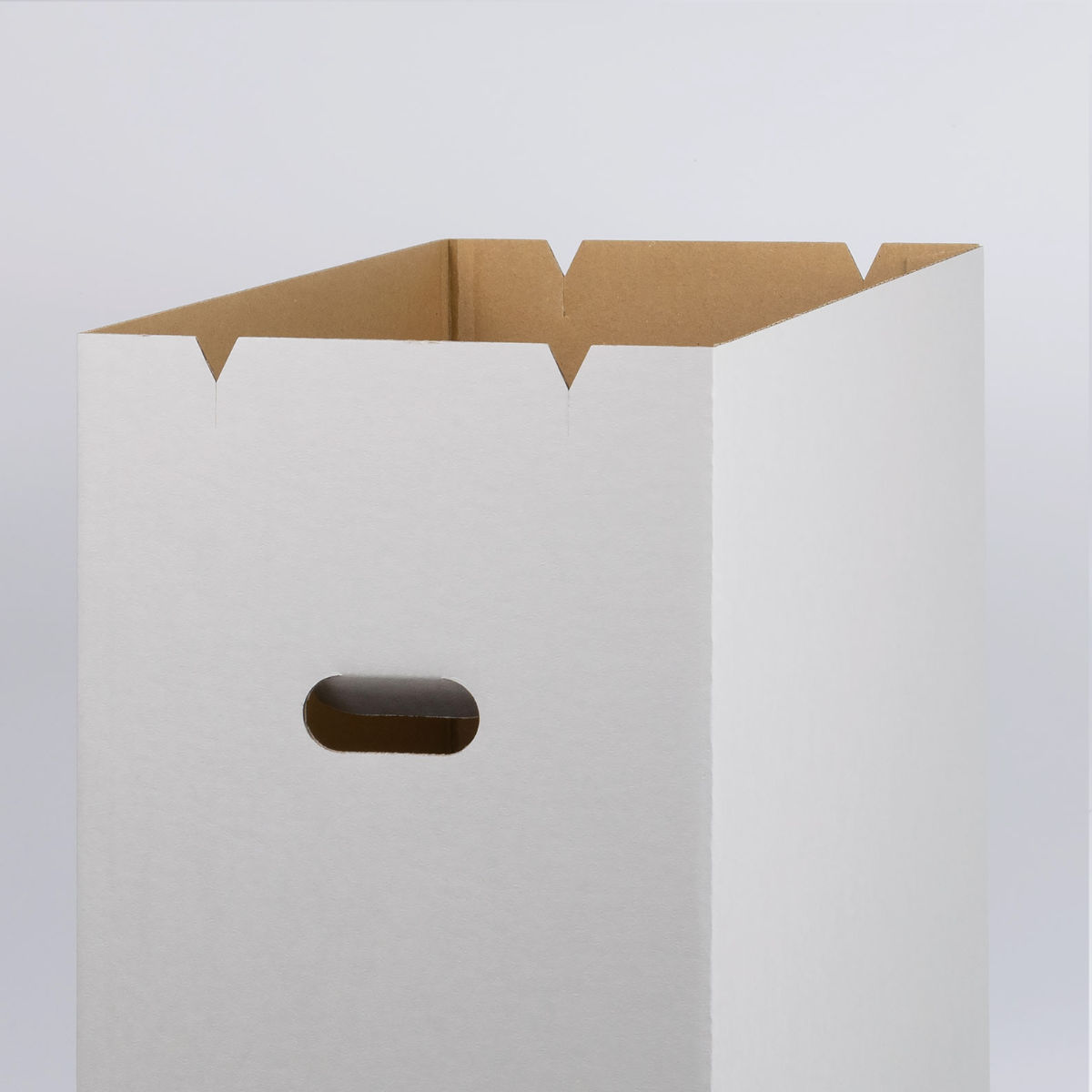ゴミ箱 30L 同色2個組 ダンボールダストボックス フタ付 （ ごみ箱 30
