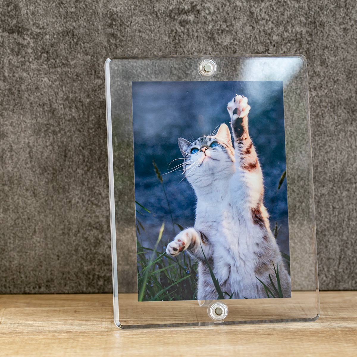 Trytec マグパチ フォトフレーム スタンダード L判サイズ （ フォト