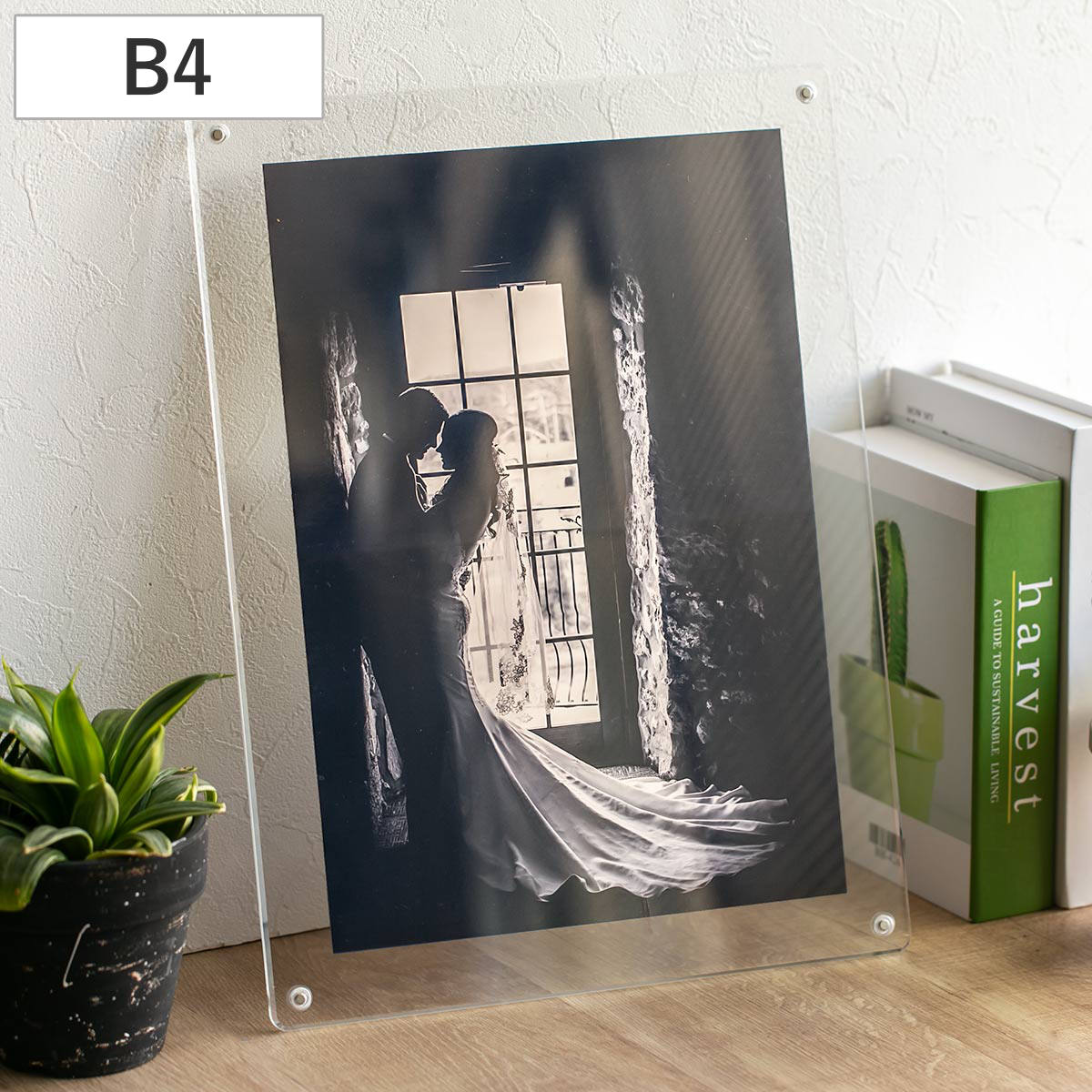 【さぱち専用】写真集&ペン立て Trytec マグパチ フォトフレーム スタンダード B4判サイズ （ フォト