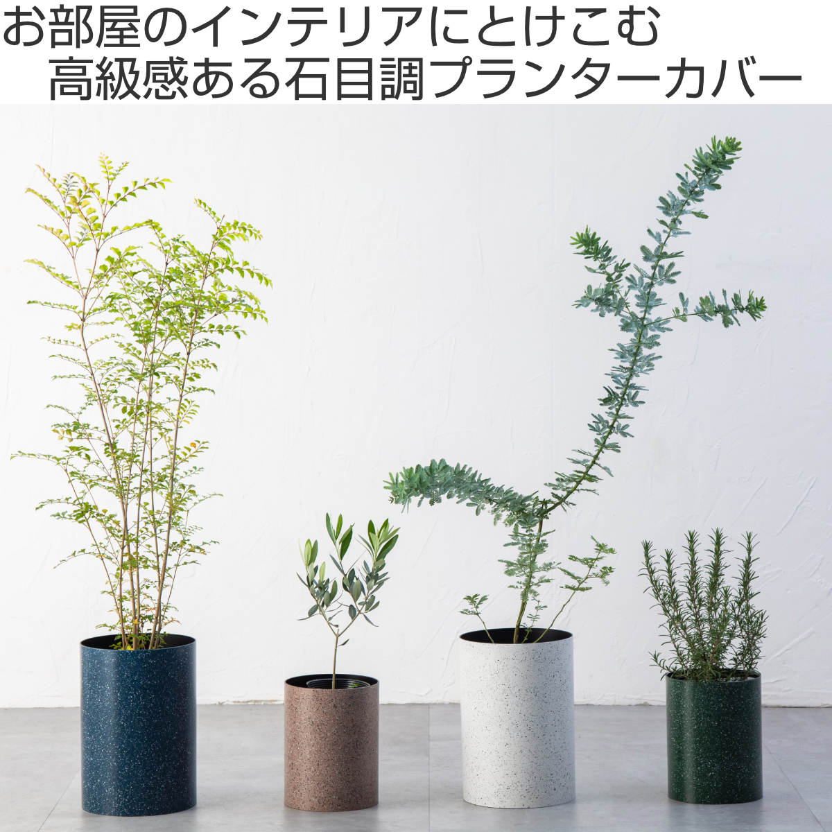 藤栄 プランターカバー ダスパープランツ Sサイズ （ 鉢カバー 植木鉢
