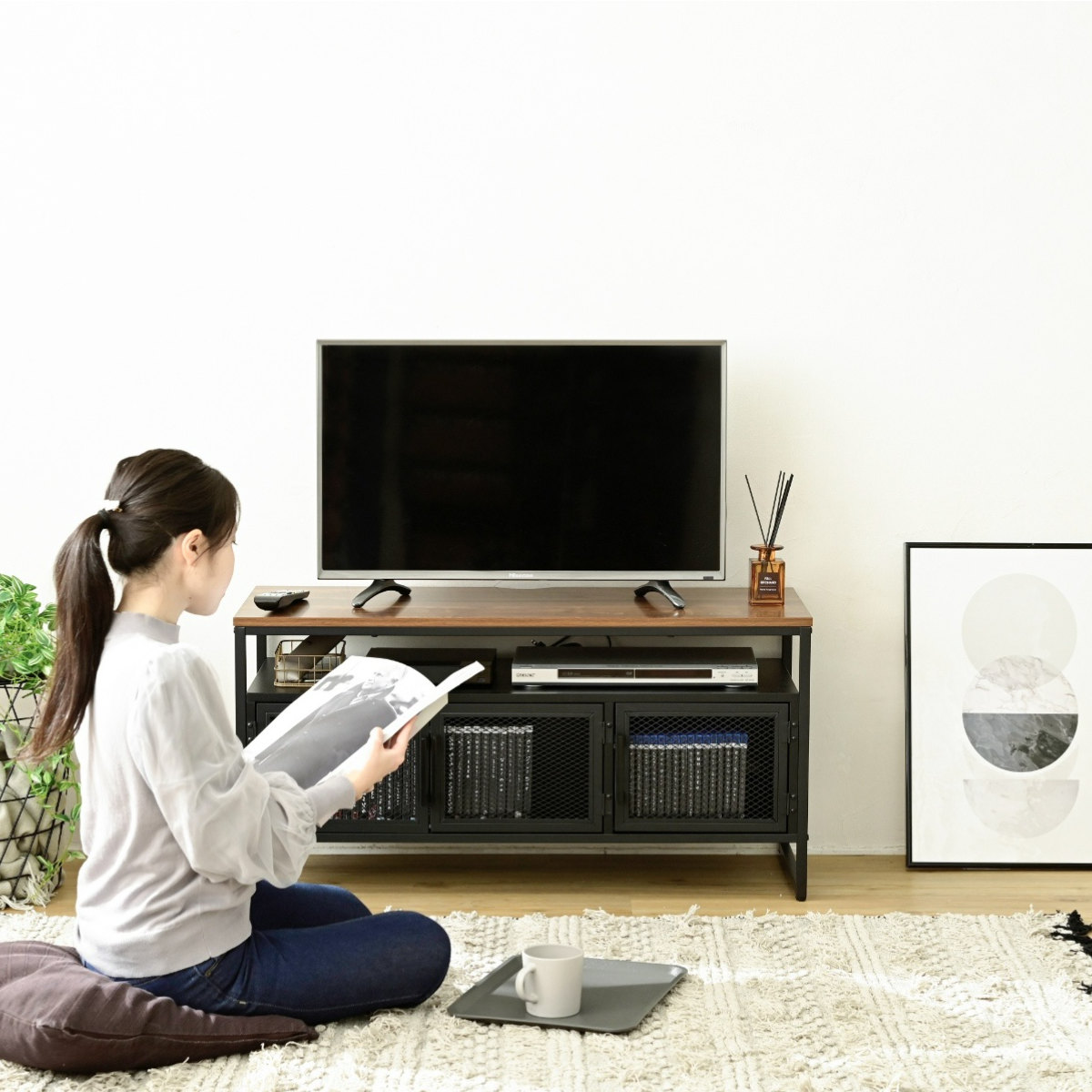 JK-PLAN（ジェイケイ・プラン） テレビボード ヴィンテージ調 メッシュ