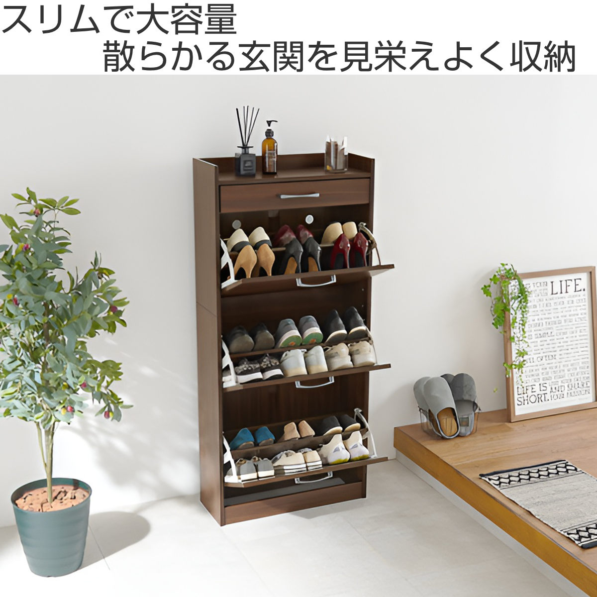 HAGiHARA（萩原） シューズラック 省 スペース 3段 高さ調節 （ 玄関