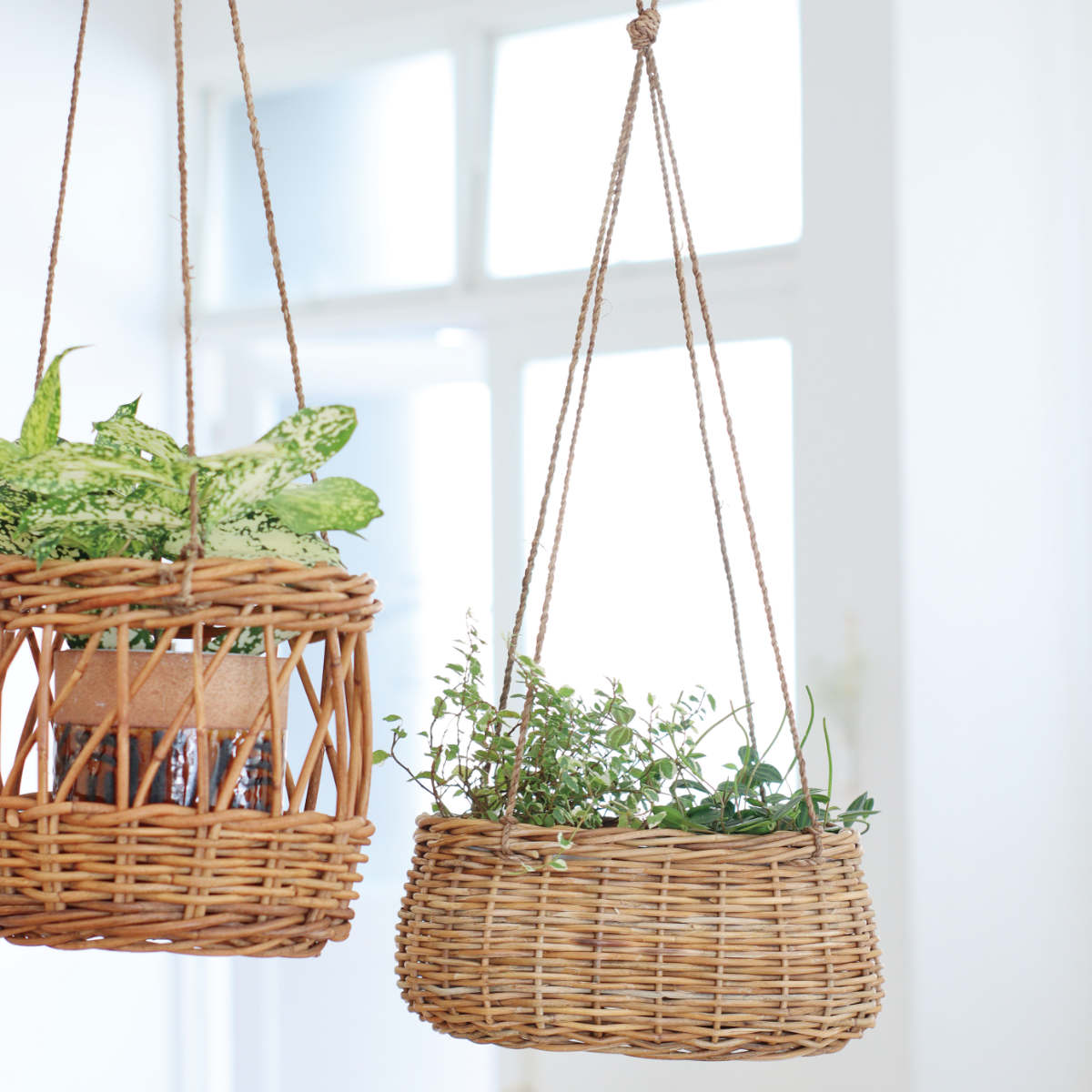 alohana様 オーダーカゴ完成品 alohana様 オーダーカゴ完成品 alohana様 オーダーカゴ完成品 商品一覧