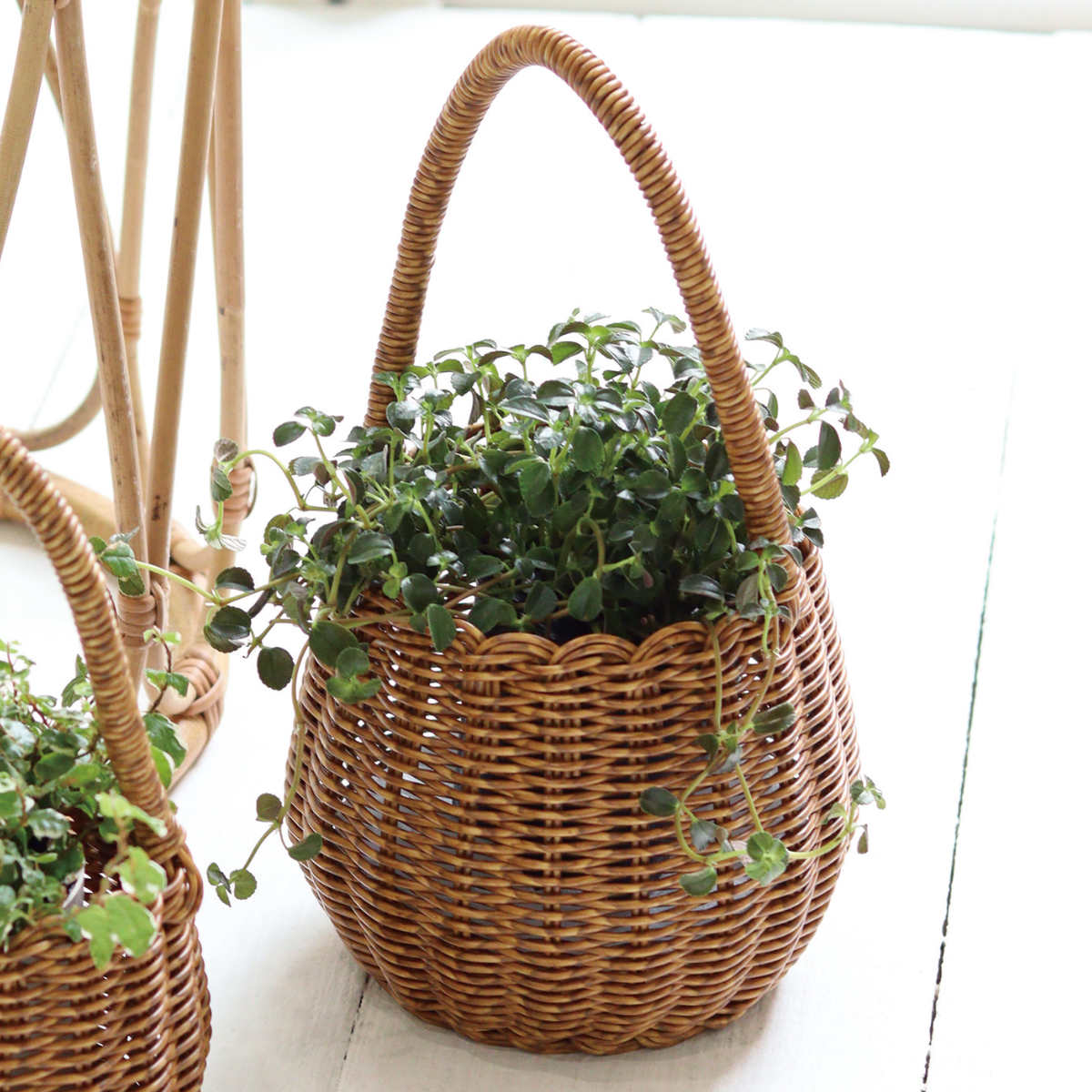 ポット ユティル ロングハンドル L ( かご...の詳細画像3