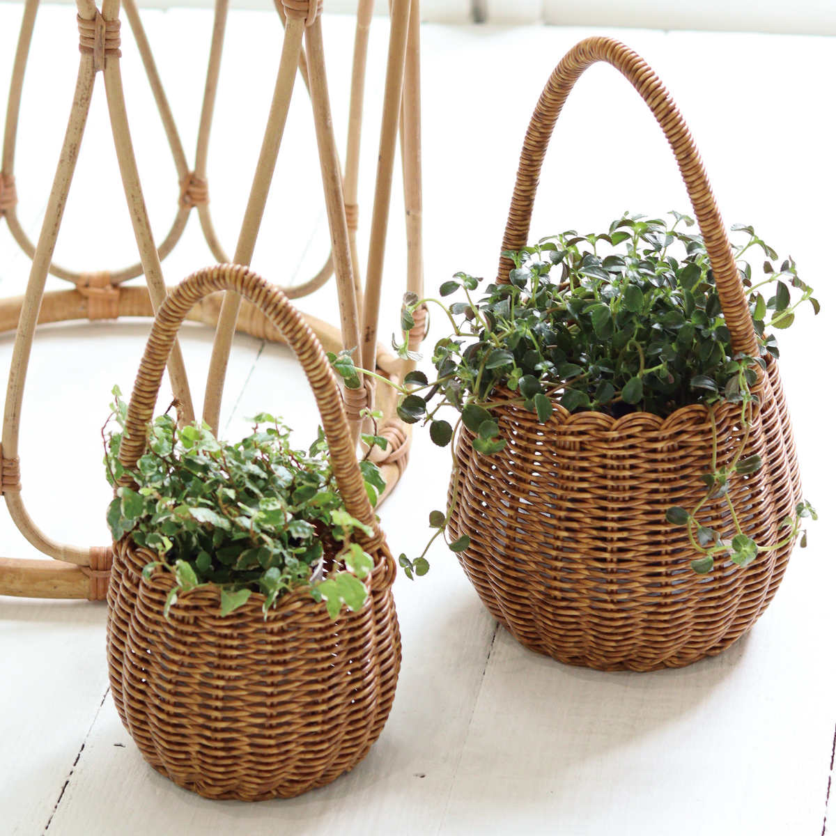 ポット ユティル ロングハンドル L ( かご...の詳細画像4