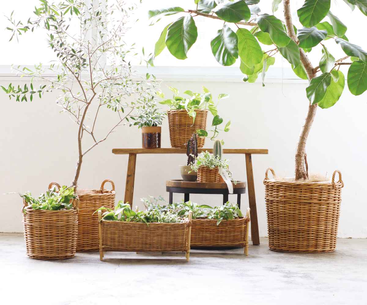 Creer プランターバスケット 10号鉢用 アラログ （ かご カゴ ラタン