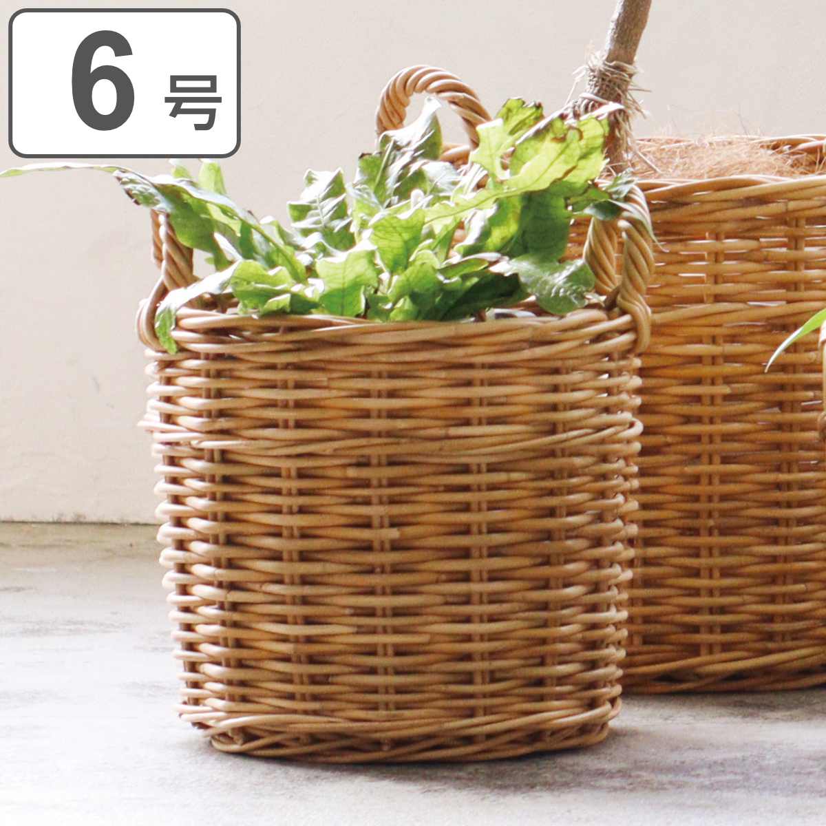 【良品✨送料無料】天然素材カゴ　観葉植物鉢カバー　カゴ　バスケット　鉢入れ Creer プランターバスケット 10号鉢用 アラログ （ かご カゴ ラタン