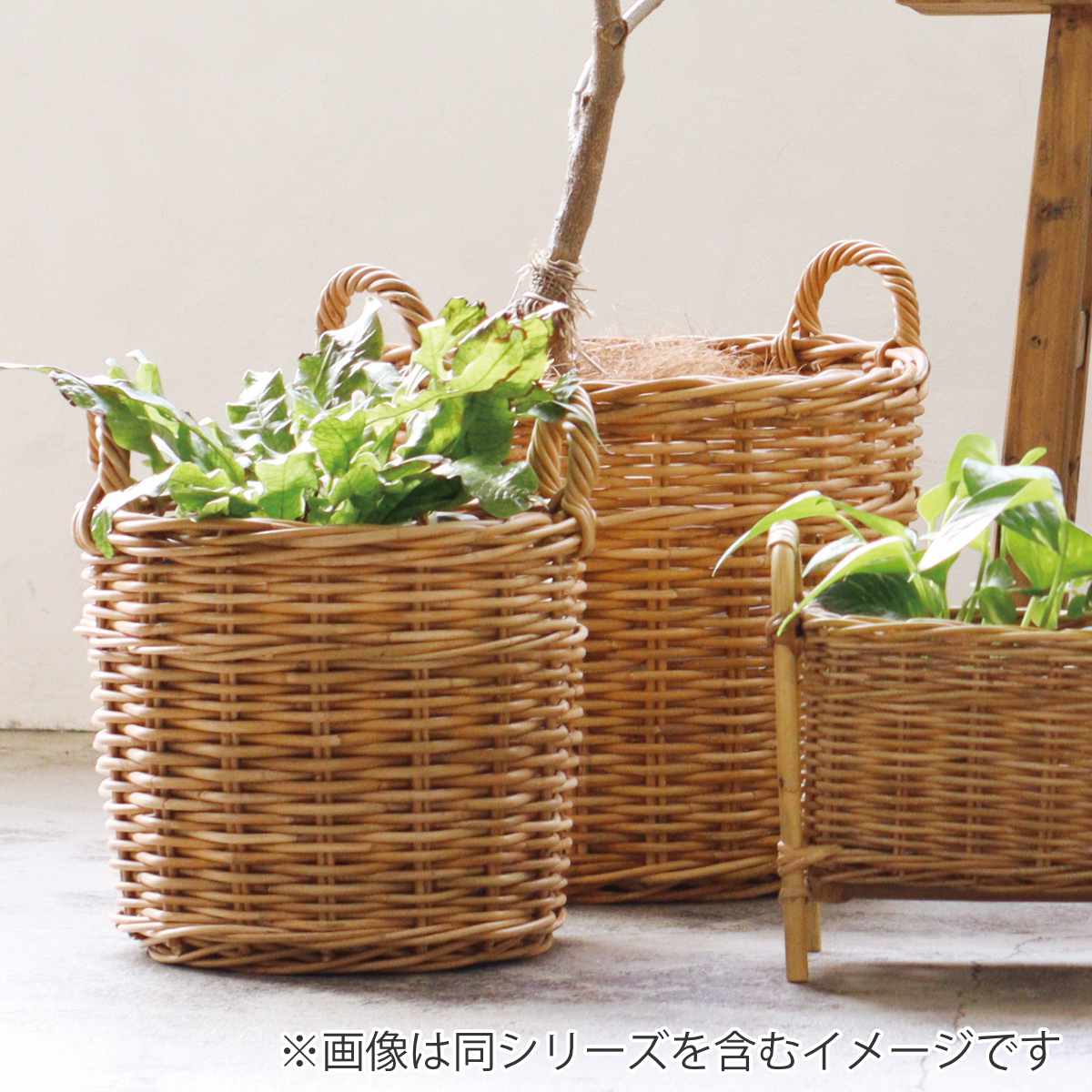 Creer プランターバスケット 8号鉢用 アラログ （ かご カゴ ラタン