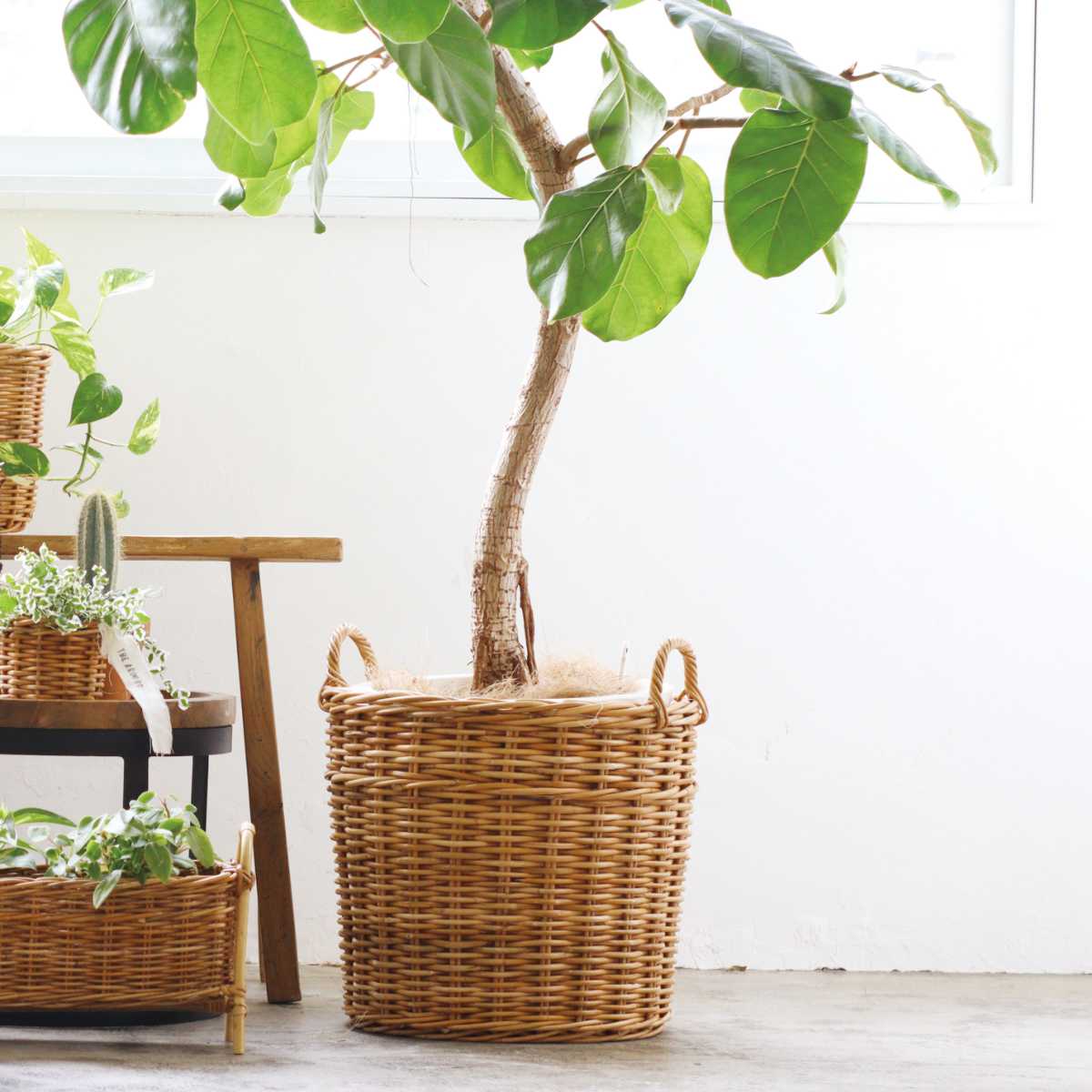 Creer プランターバスケット 10号鉢用 アラログ （ かご カゴ ラタン