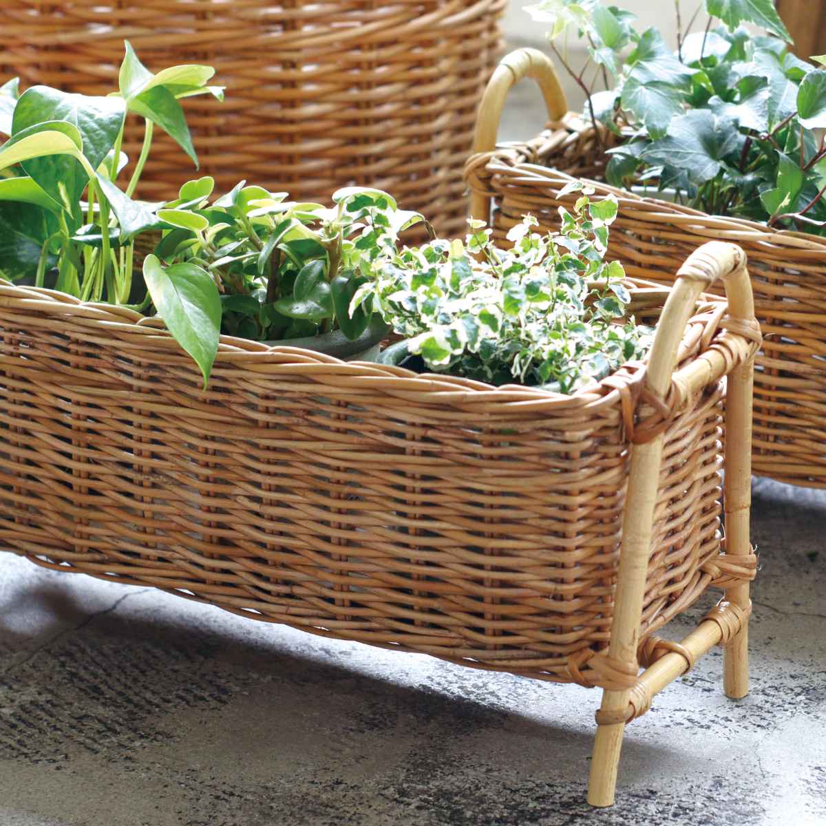 Creer プランタースタンド ロング L アラログ ( かご カゴ ラタン Creer プランタースタンド ロング L アラログ ( かご カゴ ラタン