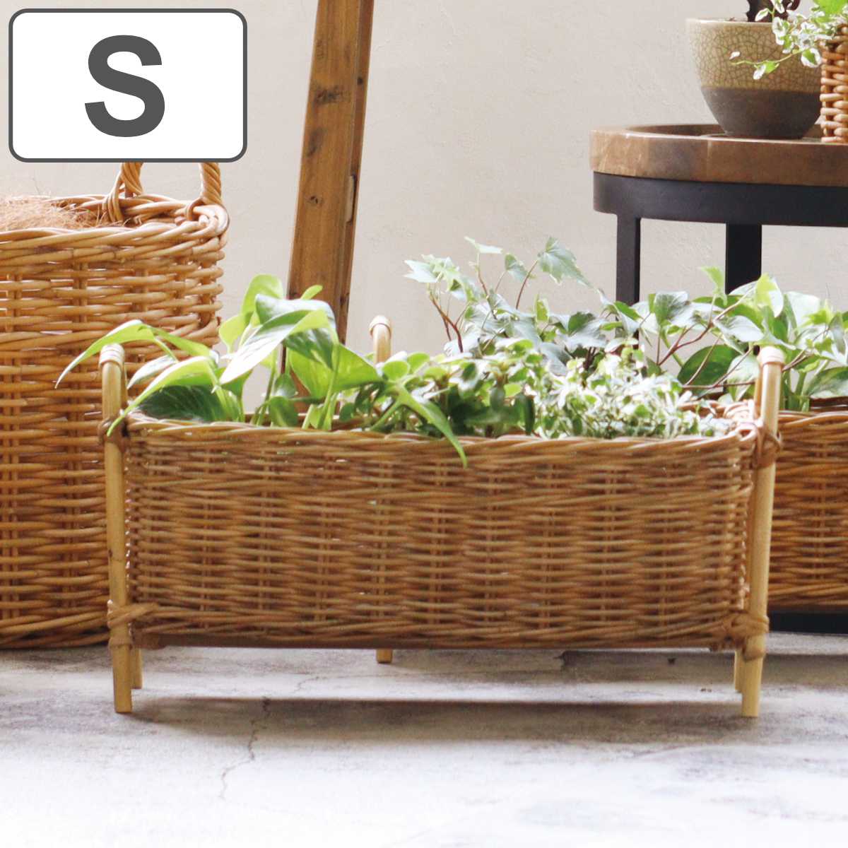 Creer プランタースタンド ロング L アラログ （ かご カゴ ラタン
