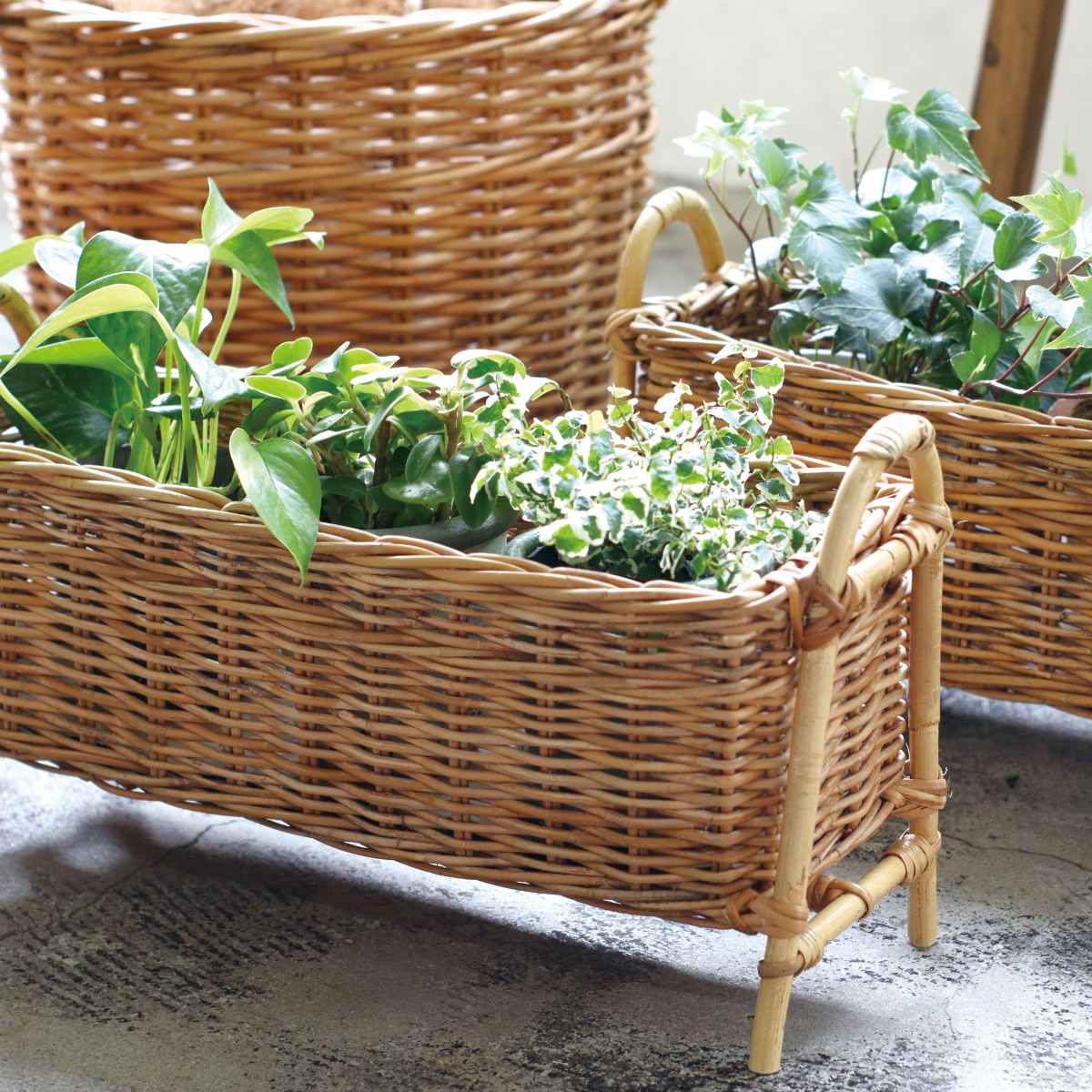 Creer プランタースタンド ロング L アラログ （ かご カゴ ラタン