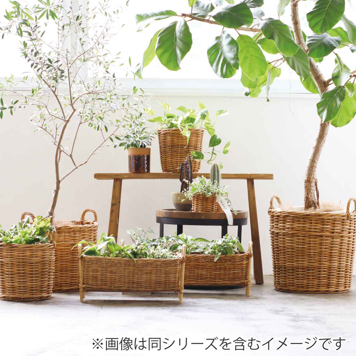 Creer プランタースタンド ロング L アラログ （ かご カゴ ラタン