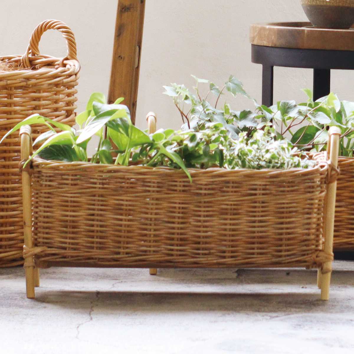 Creer プランタースタンド ロング L アラログ （ かご カゴ ラタン