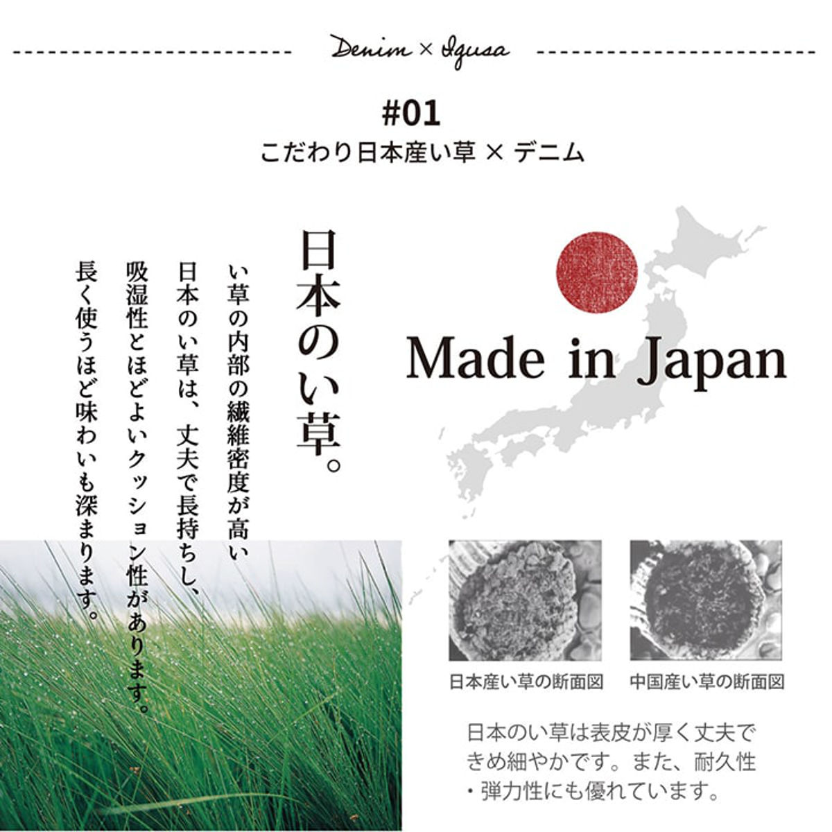 ラグ い草ラグ 純国産 カーペット エスニック調 DXデニムラルフ 約140×200cm 裏貼りあり （ 敷物 ラグマット い草マット い草カーペット デニム 絨毯 ござ ）