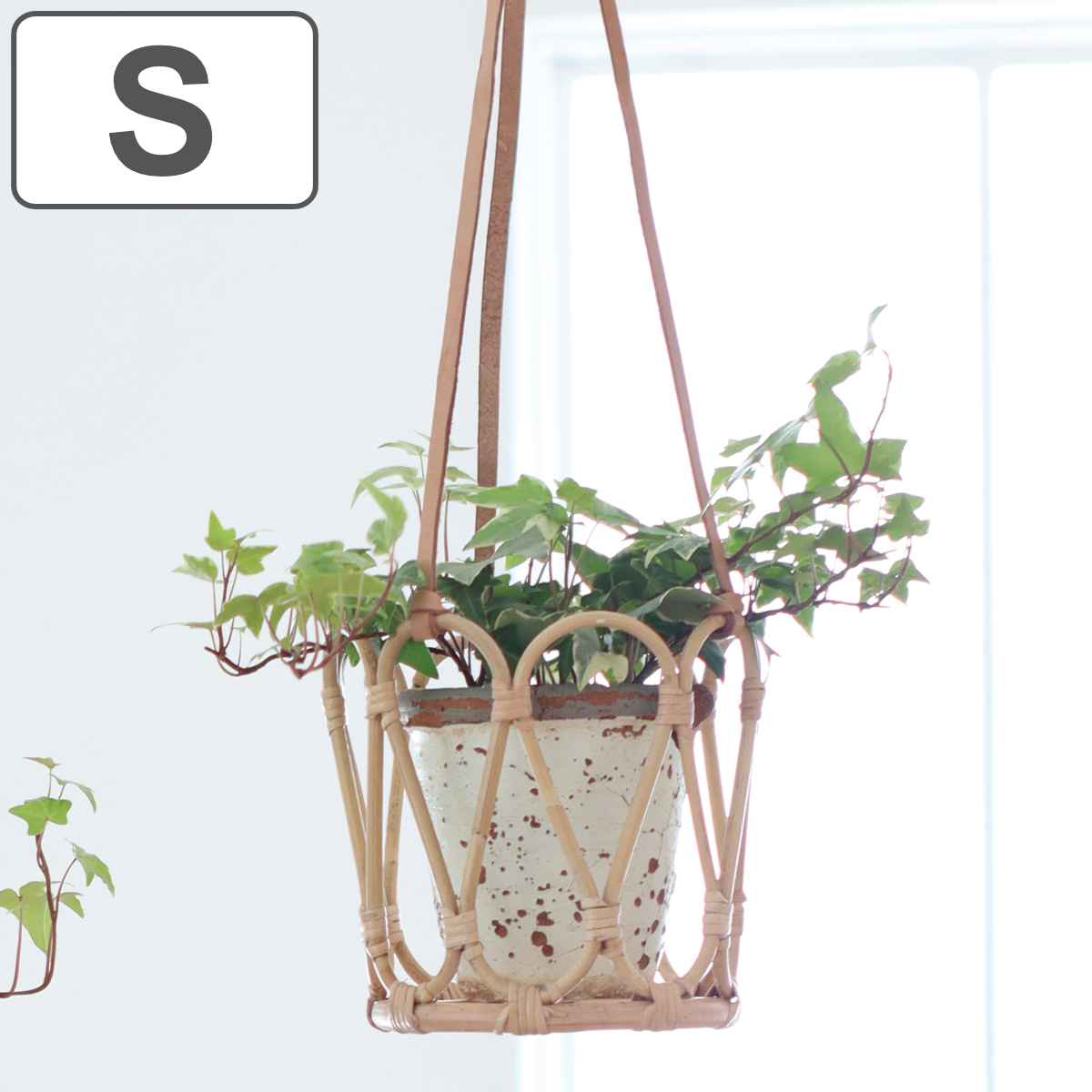 ユグラ ハンギングポット Lサイズ  観葉植物　鉢