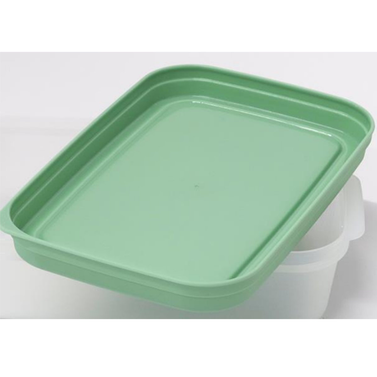 タッパーウェア、プラスチック 保存容器 直径28cm TAKEYA（タケヤ） 保存容器 800ml ライトパック セカンド 2個セット