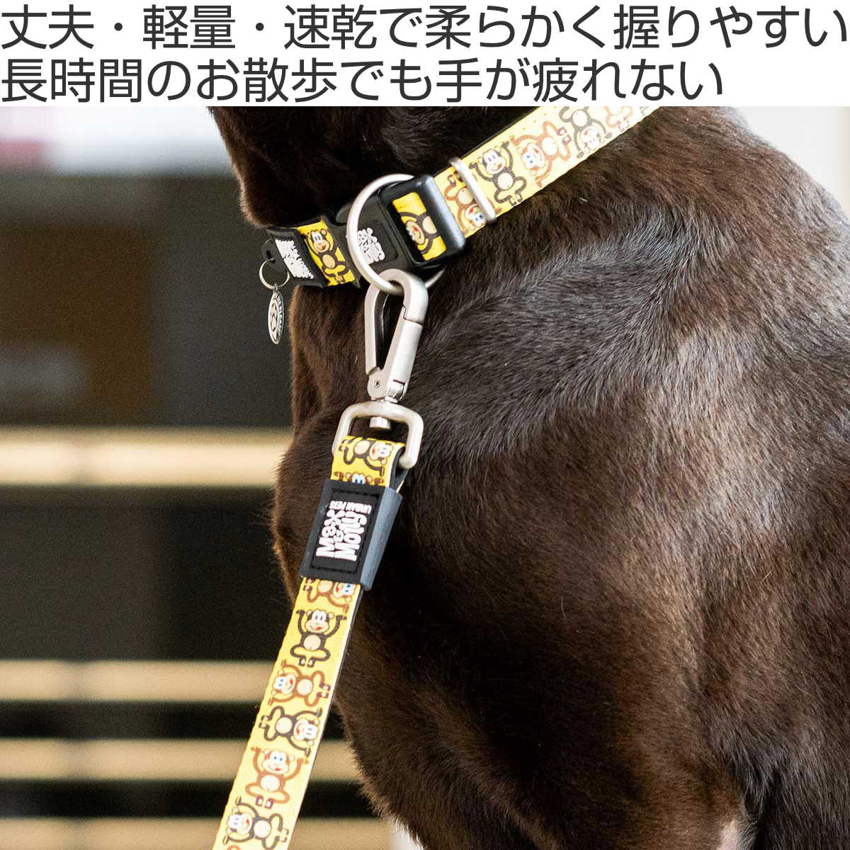 リード 小型犬 XS マックス＆モーリー 1.2m 犬 （ 犬用 犬用リード