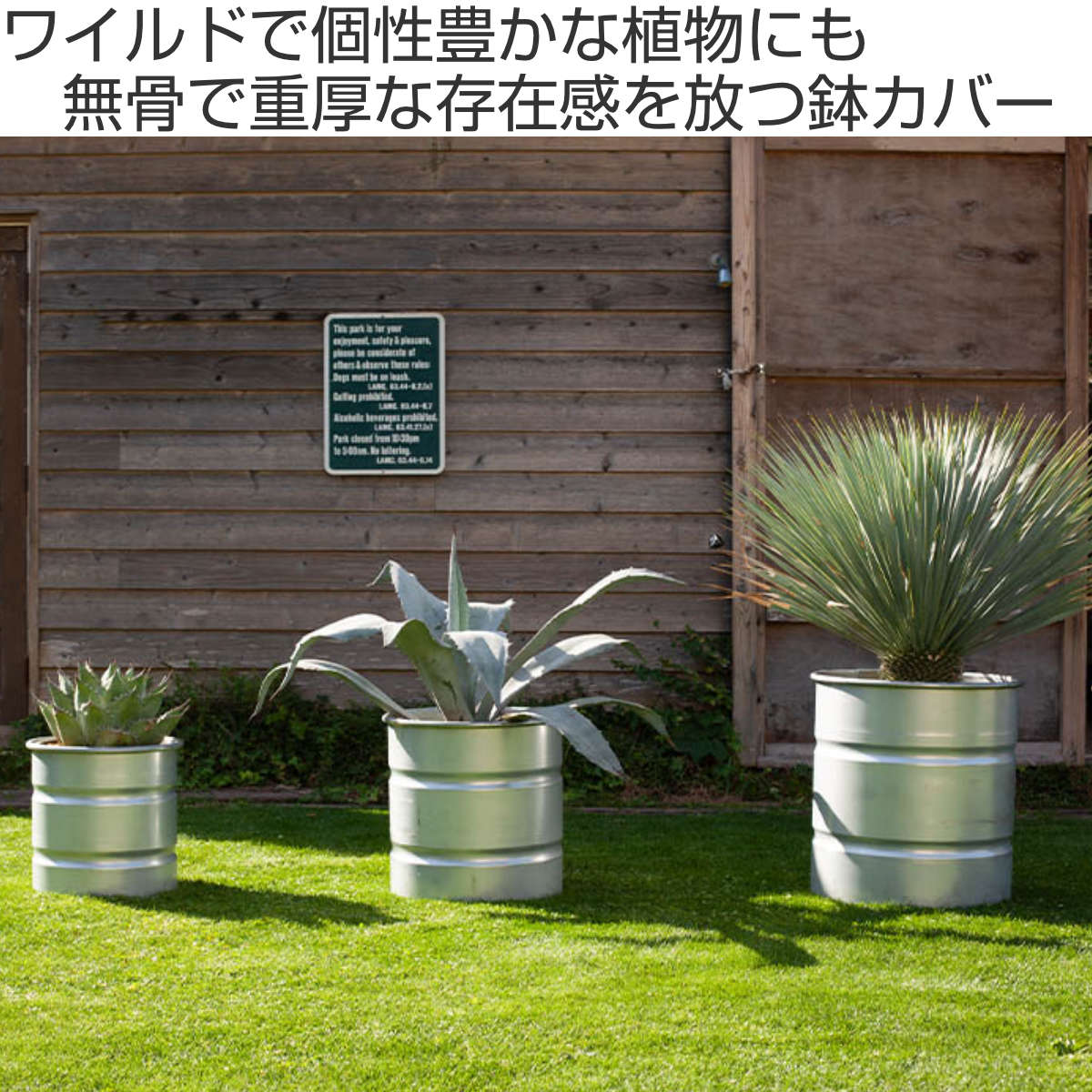 DULTON（ダルトン） 鉢 ガルバナイズド タンク M （ DULTON 鉢カバー