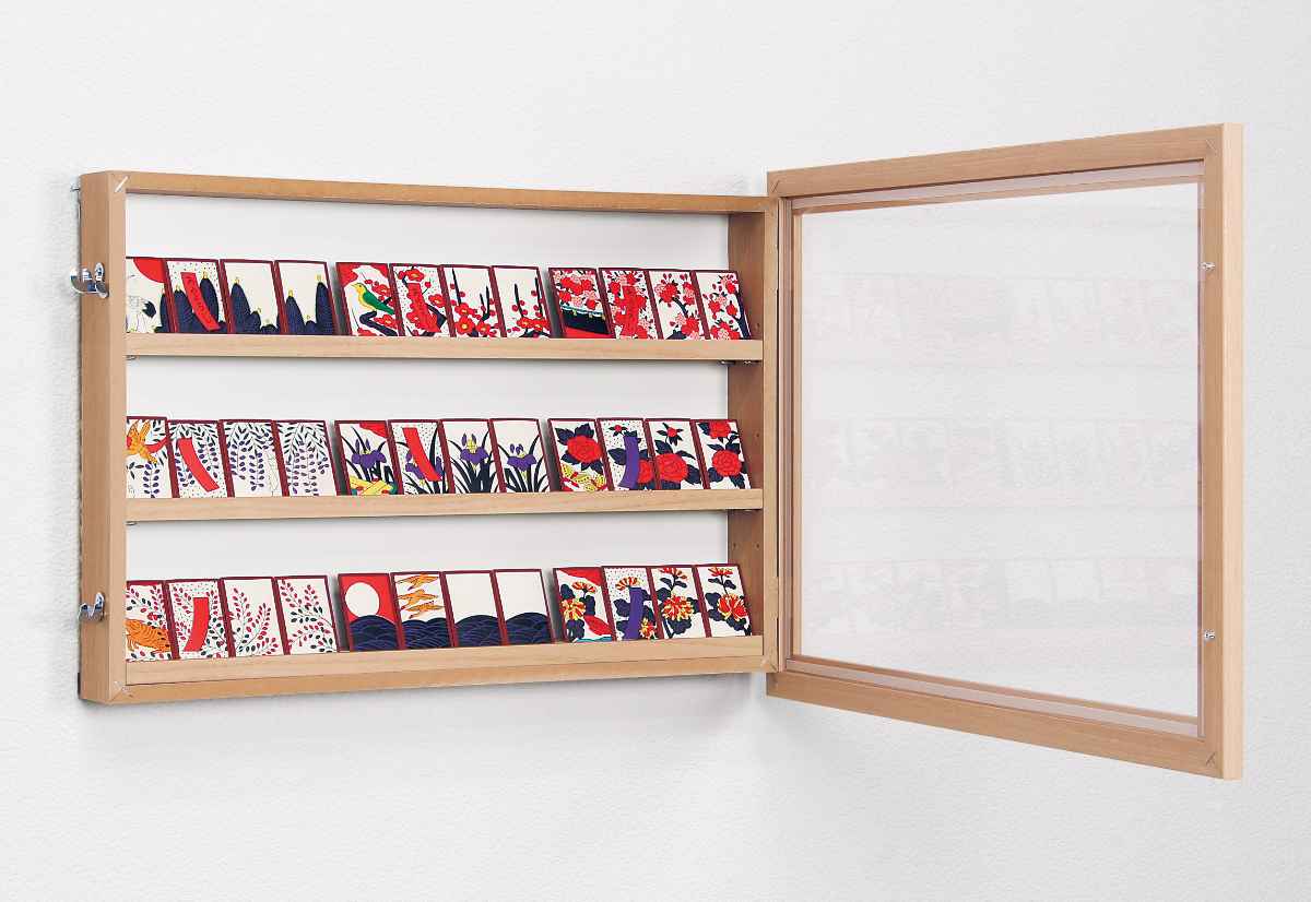 コレクションケース 47.9×32.9cm 壁掛け カバー扉 カード コイン 収納 L408 （ カードケース ケース アクリル ボックス  ディスプレイ 保管 透明扉 扉タイプ ）