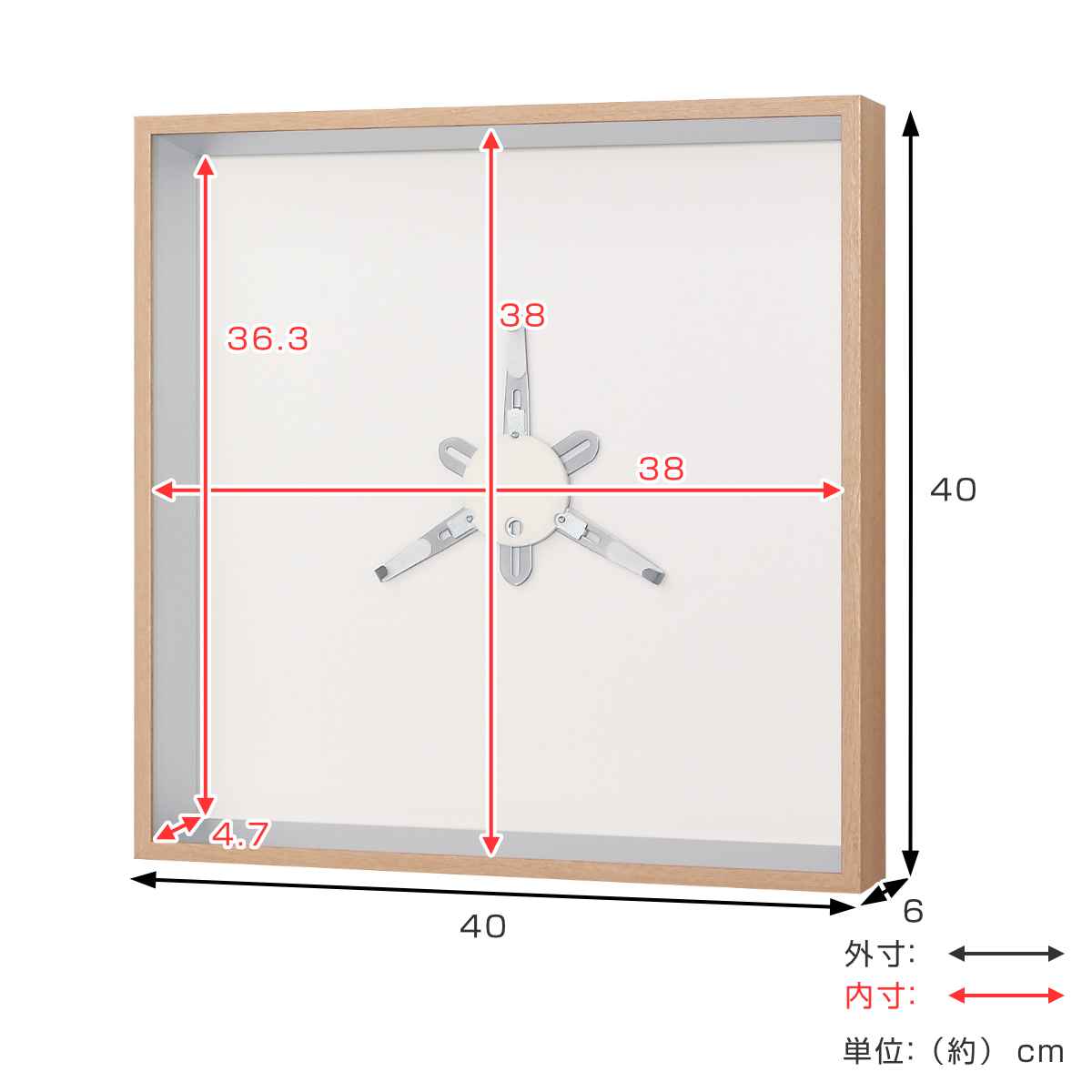コレクションケース 40×40cm 壁掛け プレート お皿 収納 L409