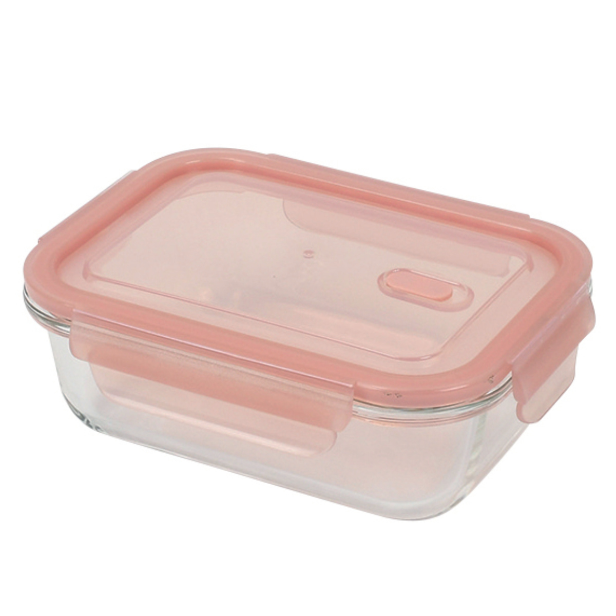 パール金属 保存容器 590ml ディッシュプラス 耐熱ガラスバルブ付保存