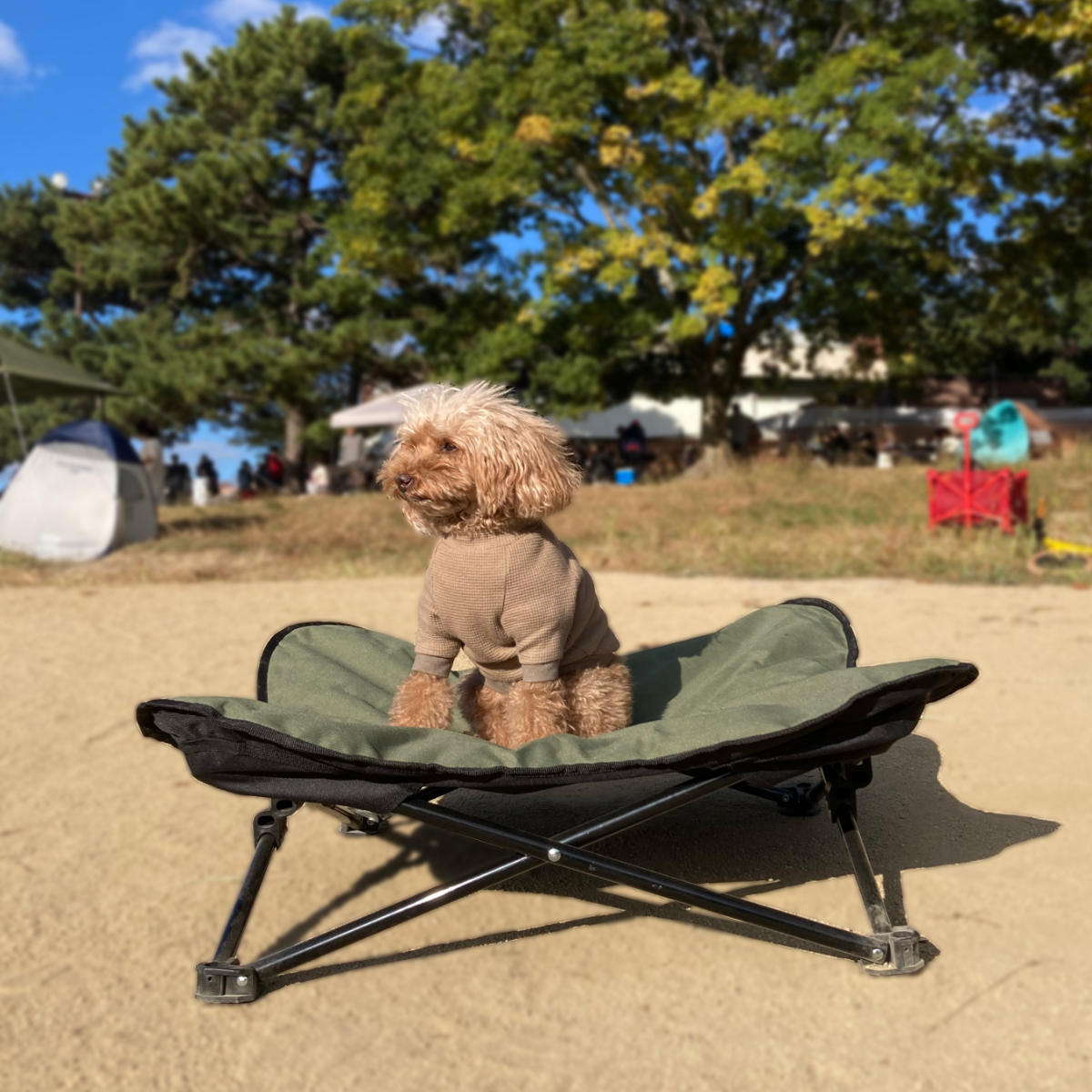 ペットベッド アウトドア ペットコット L 折りたたみ 犬 （ ドッグ