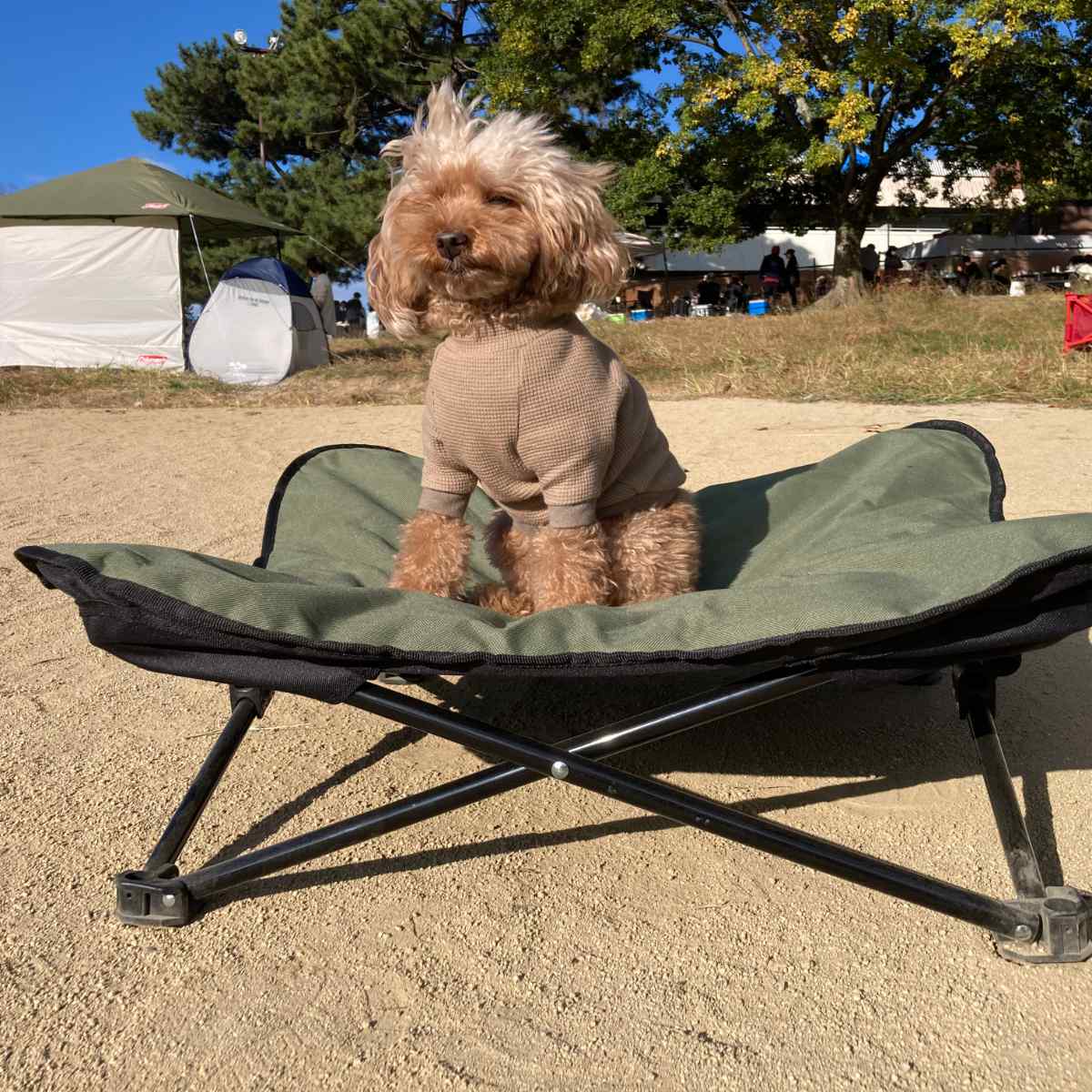 ペットベッド アウトドア ペットコット L 折りたたみ 犬 （ ドッグ
