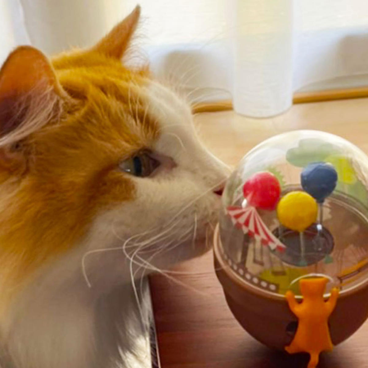 おもちゃ 猫 エルシック キャットタンブラー おやつ 知育 （ 猫用