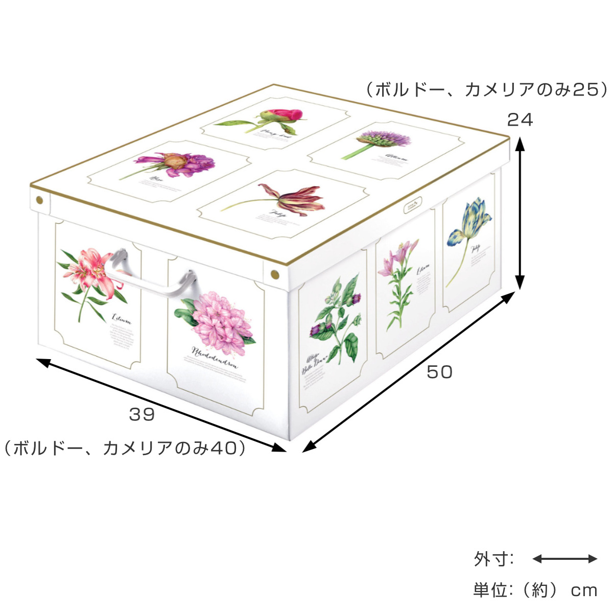 収納ケース スタッキングコンテナ ピオニー L イタリア製 （ 収納