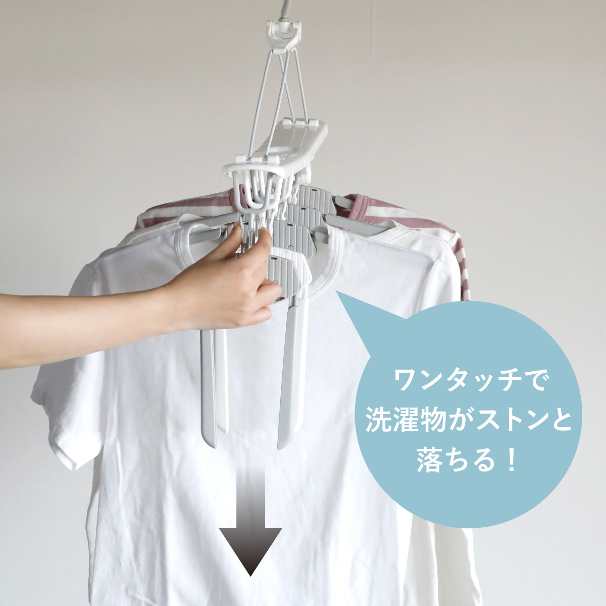 CB JAPAN（シービージャパン） 洗濯ハンガー 8連 THE HANGERS