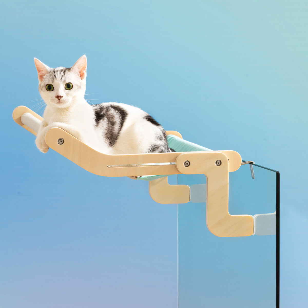 ミント　猫のハンモック Amazon.co.jp: Phoenix 猫 ハンモック キャット メッシュ