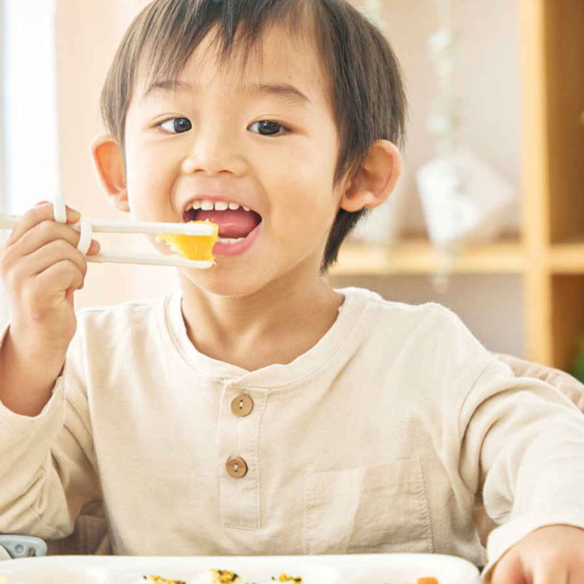 EDISONmama（エジソンママ） 箸 エジソンのお箸 mini 右手用 シナ