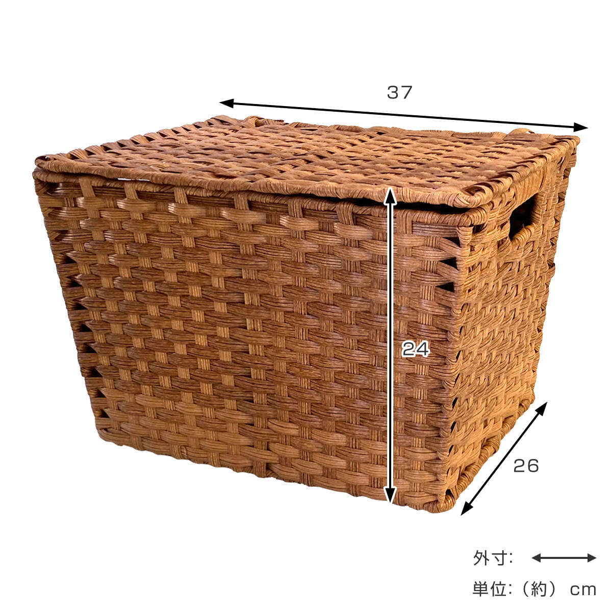 バスケット フェイクメイズラタンPP 蓋付角型抜き手バスケット L