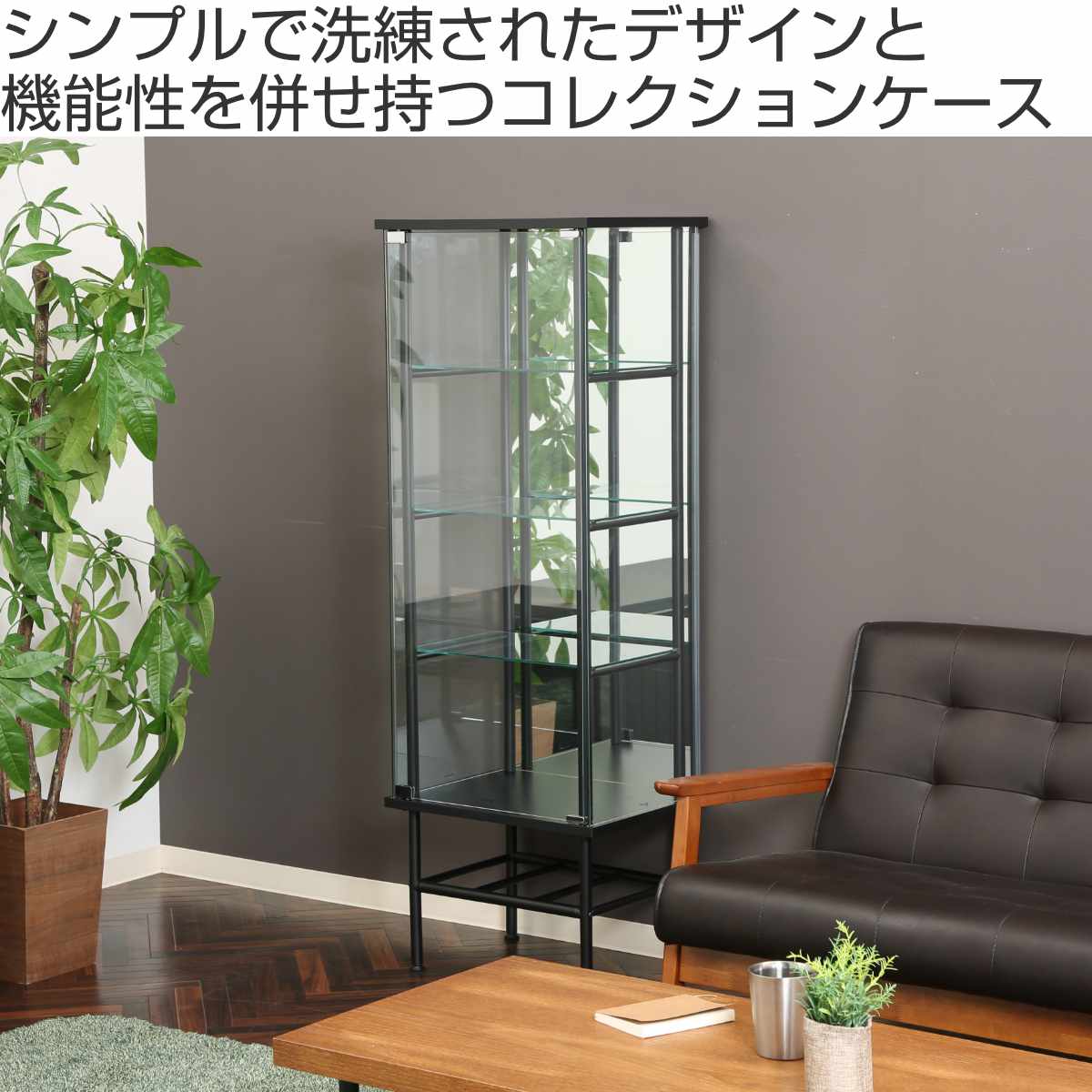 不二貿易（Fuji Boeki） コレクションケース 幅48.6cm 4段 背面ミラー