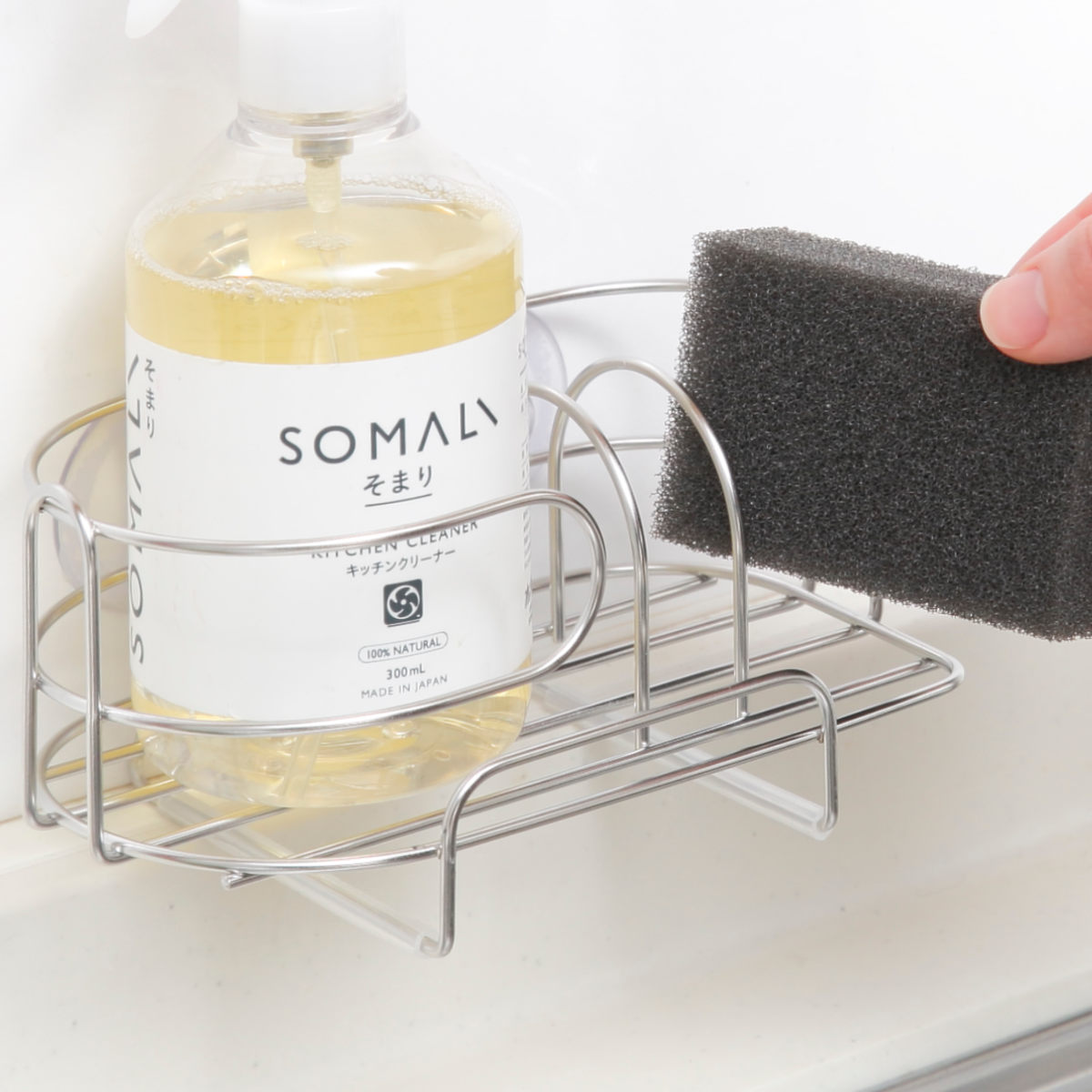 パール金属 スポンジラック デュアリス 18-8ステンレス製 洗剤スポンジ