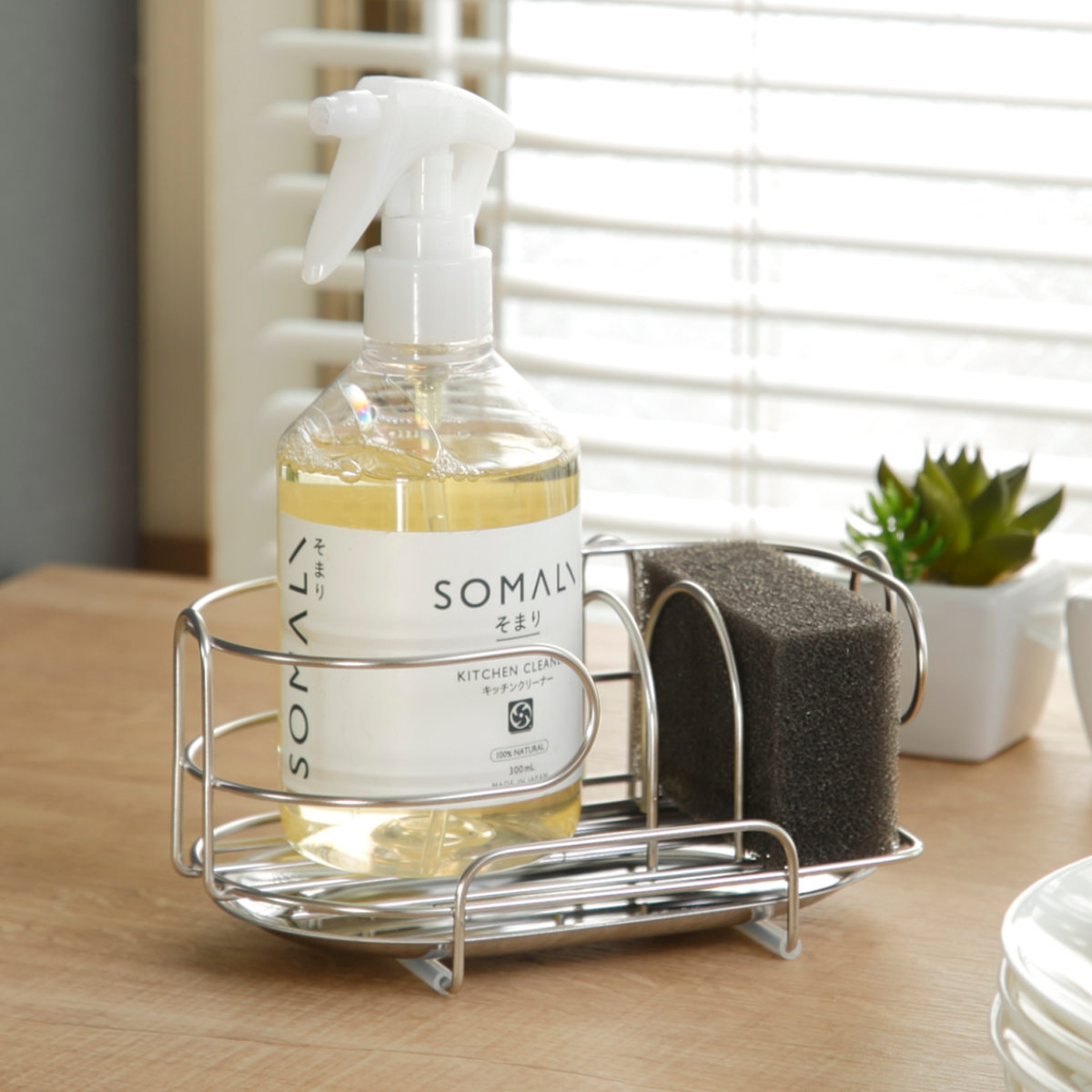 パール金属 スポンジラック デュアリス 18-8ステンレス製 洗剤スポンジ