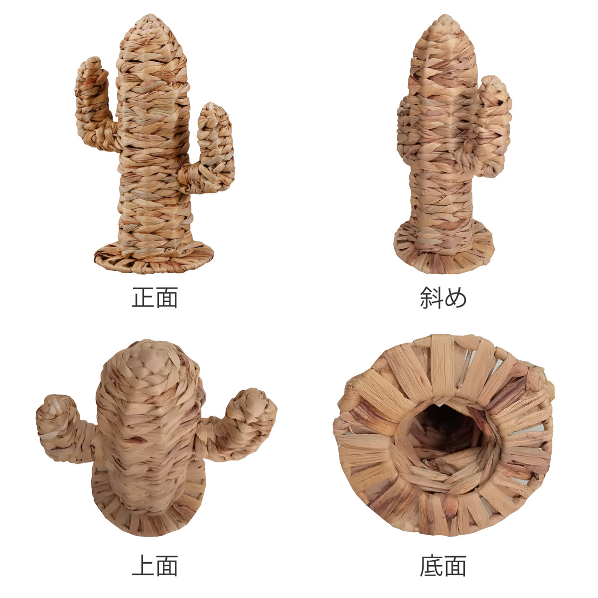 置物‥天然素材 オブジェ サボテン Sサイズ 高さ34cm ヒヤシンス カクタス