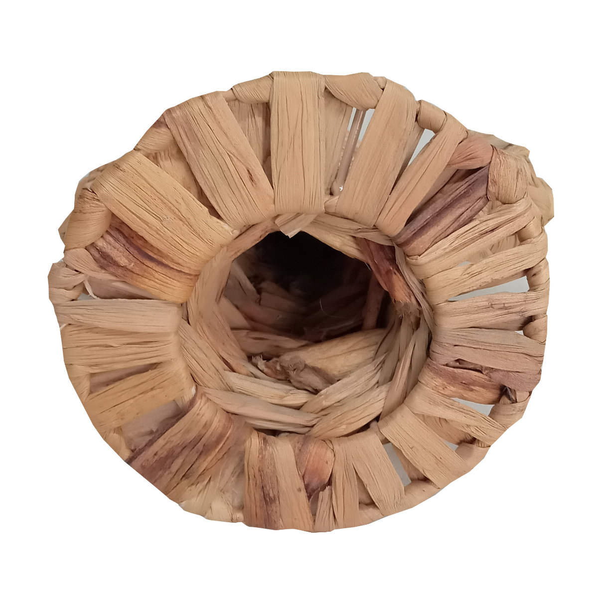 オブジェ サボテン Sサイズ 高さ34cm ヒヤシンス カクタスオーナメント