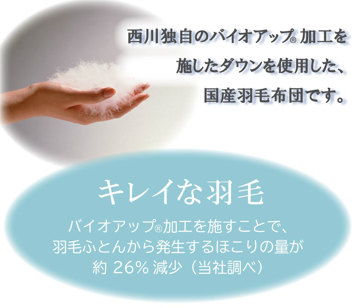 西川 羽毛布団 ホワイトダックダウン93％ ペイズリー柄 シングルロング