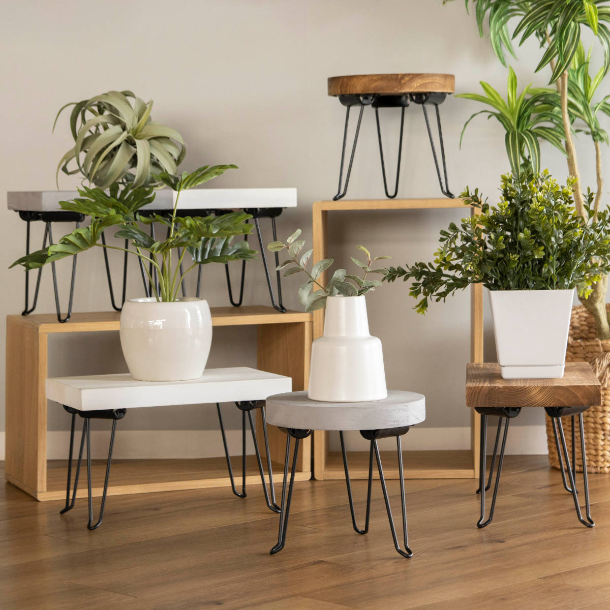 HABITER（アビテ） 花台 プランタースタンド ピエニ レクトスタンド