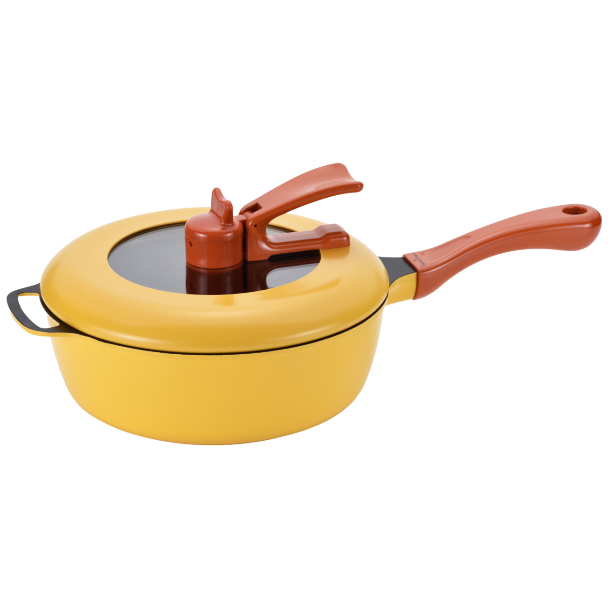 レミパン Remi Hirano フライパン 24cm IH対応 （ REMIPAN 平野レミ