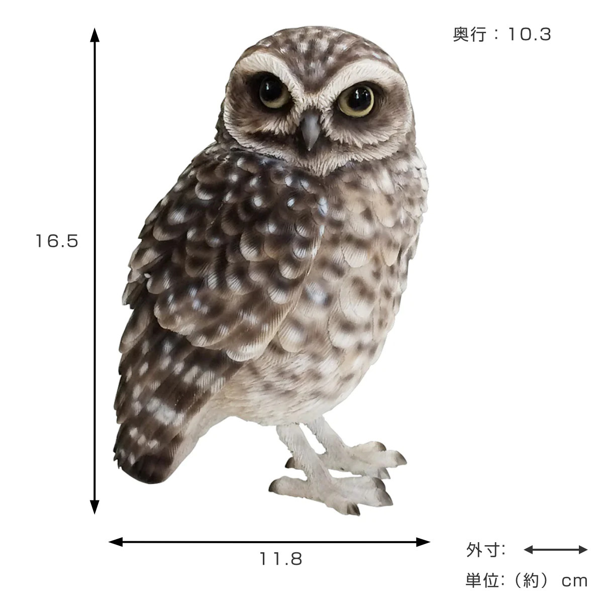 magnet オブジェ BIRDIE BILL BURROWING OWL アナホリフクロウ