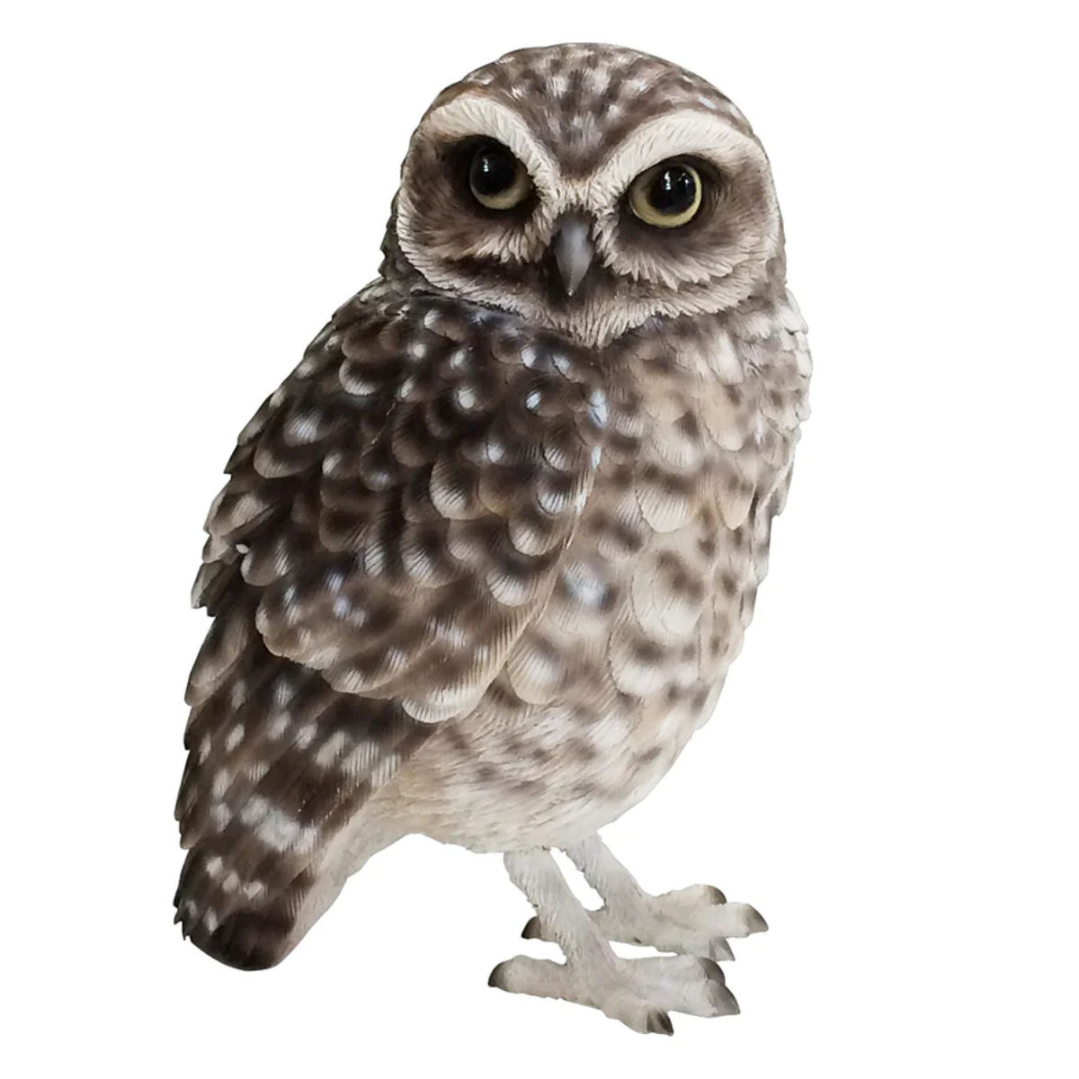 magnet オブジェ BIRDIE BILL BURROWING OWL アナホリフクロウ 