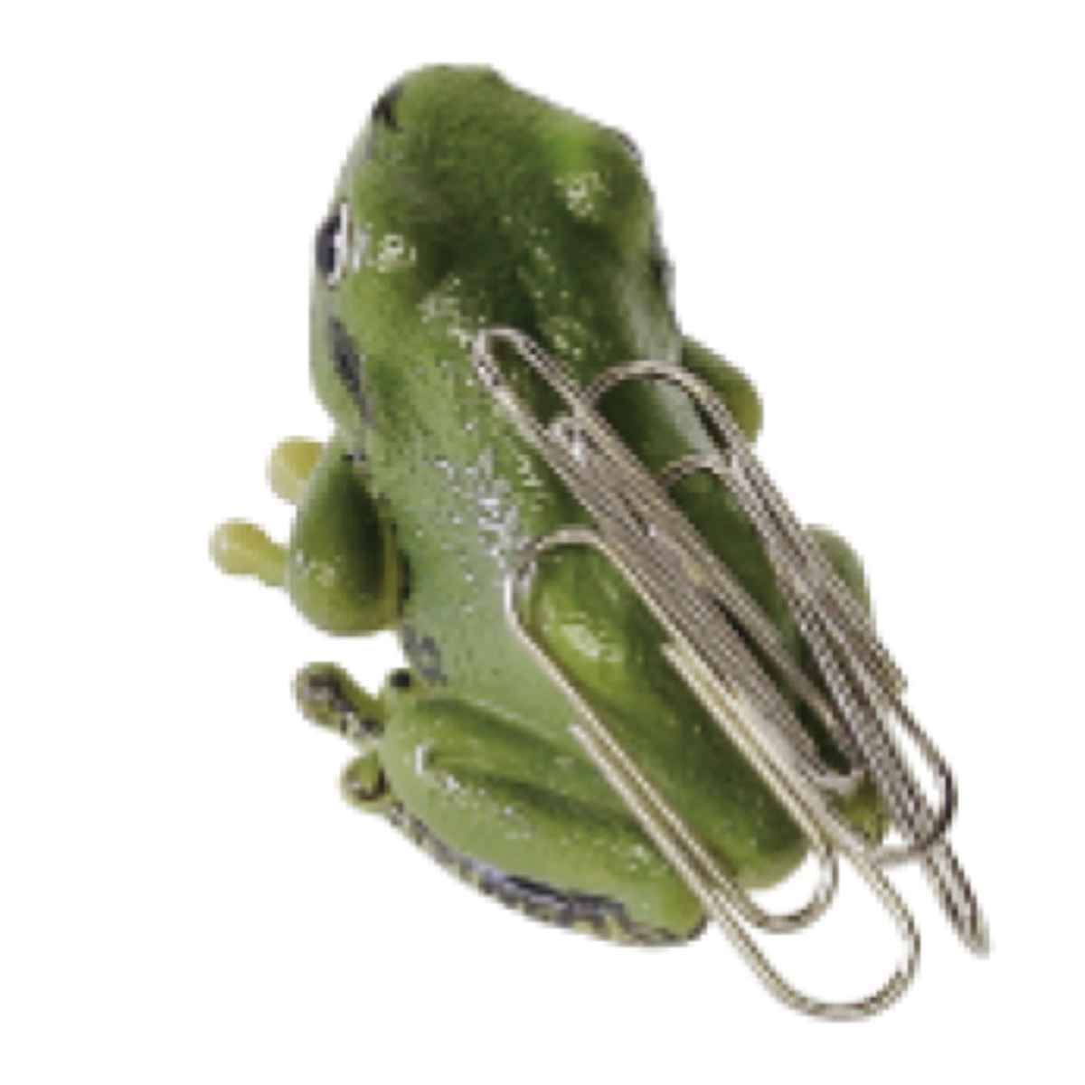 magnet オブジェ REPTILES MAG ヤドクガエル アマガエル （ クリップ