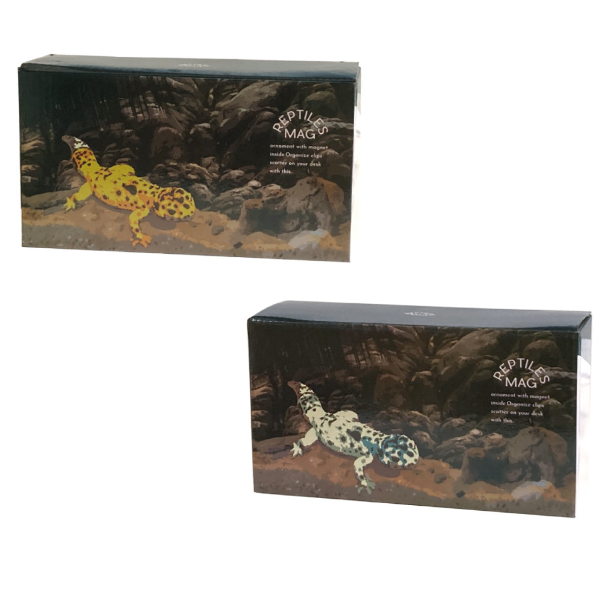 magnet オブジェ REPTILES MAG ヒョウモントカゲモドキ （ クリップ