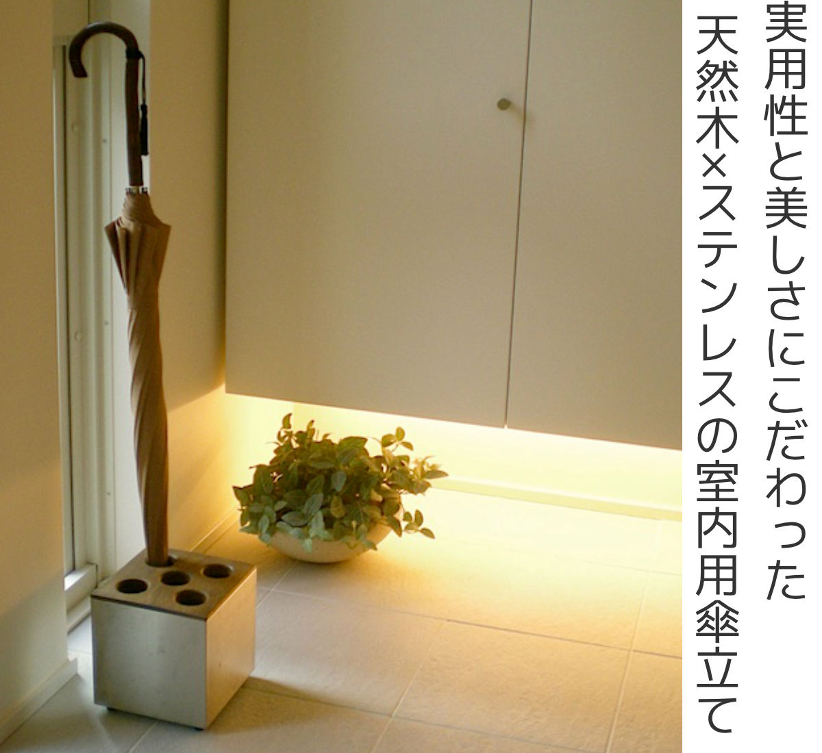 傘立て CUBE 5穴タイプ 天然木 ステンレス （ アンブレラスタンド