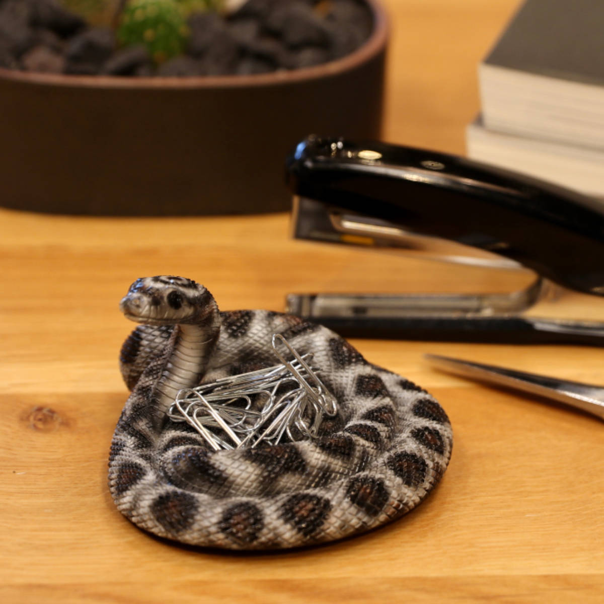 magnet オブジェ REPTILES MAG コーンスネーク （ クリップホルダー