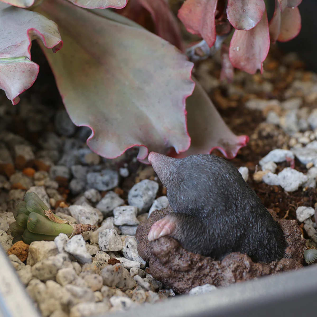 magnet オブジェ FOREST MAG モグラ マグネット付き （ クリップ