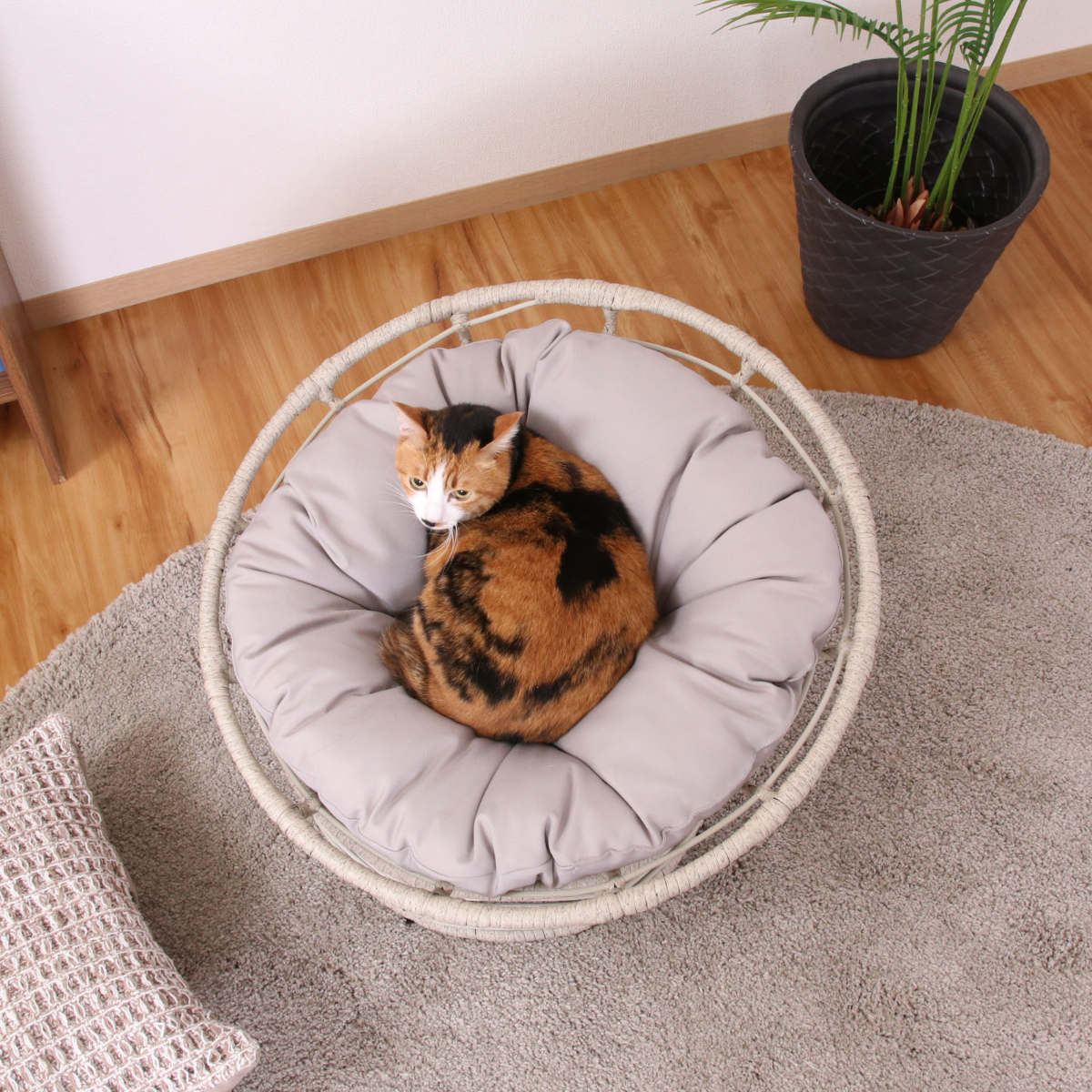 不二貿易（Fuji Boeki） ペットベッド クッションチェア ペット用 猫